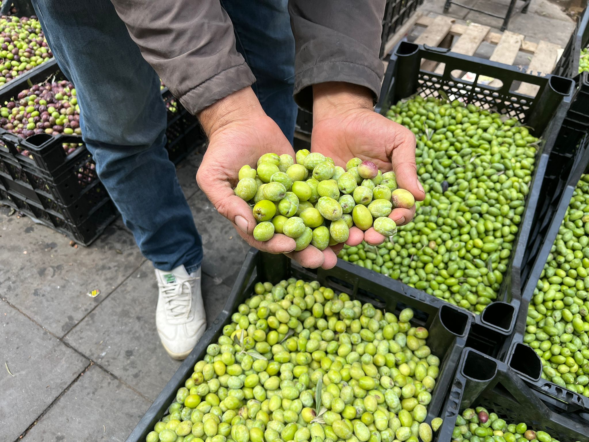 5Dba7747 0C36 45Ea A85E 4F1C292A9392-1