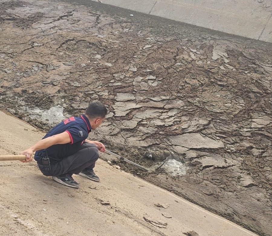 Batman İtfaiyesi, Sulama Kanalına Düşen Yavru Köpeği Kurtardı (2)