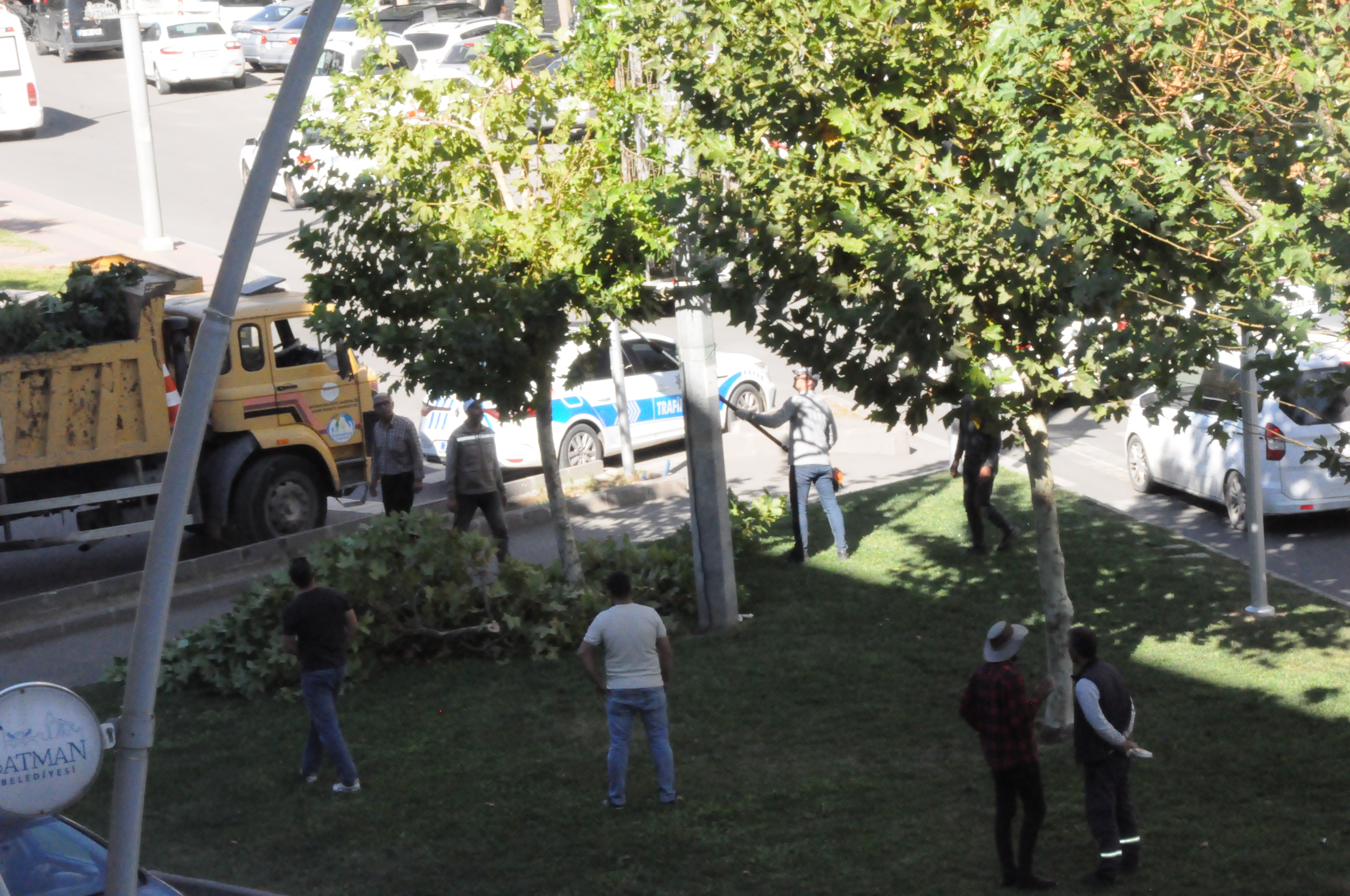 Batman’da Ağaç Budama Sezonu Başladı (2)