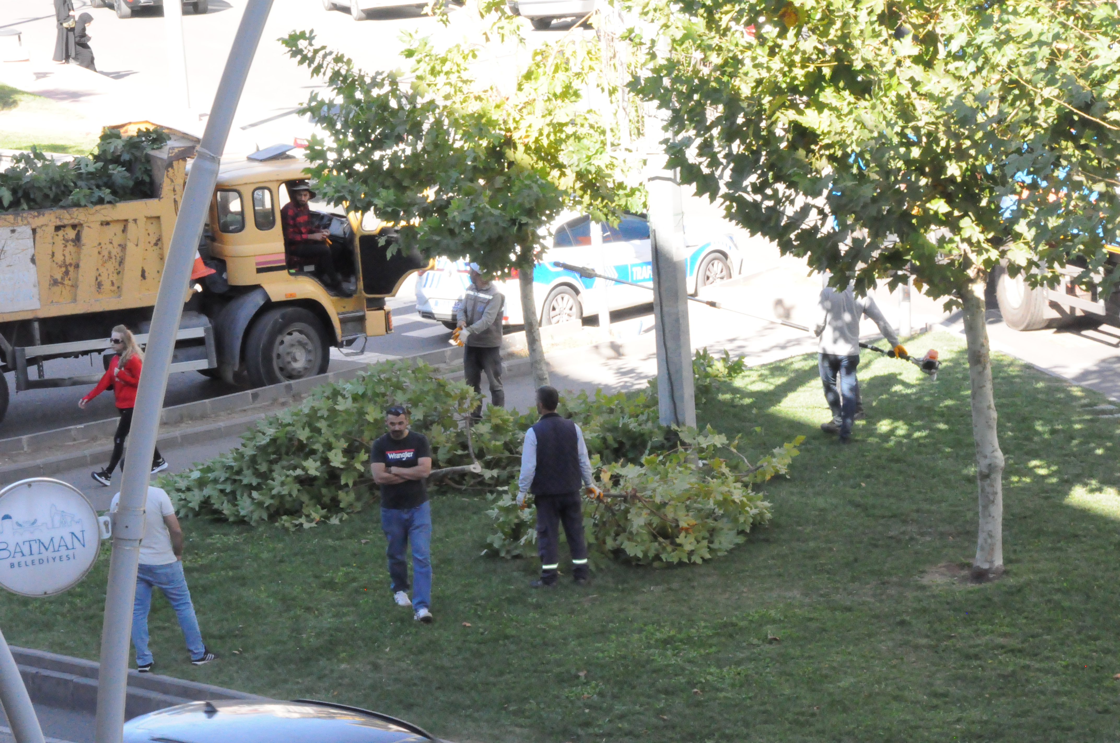 Batman’da Ağaç Budama Sezonu Başladı (5)