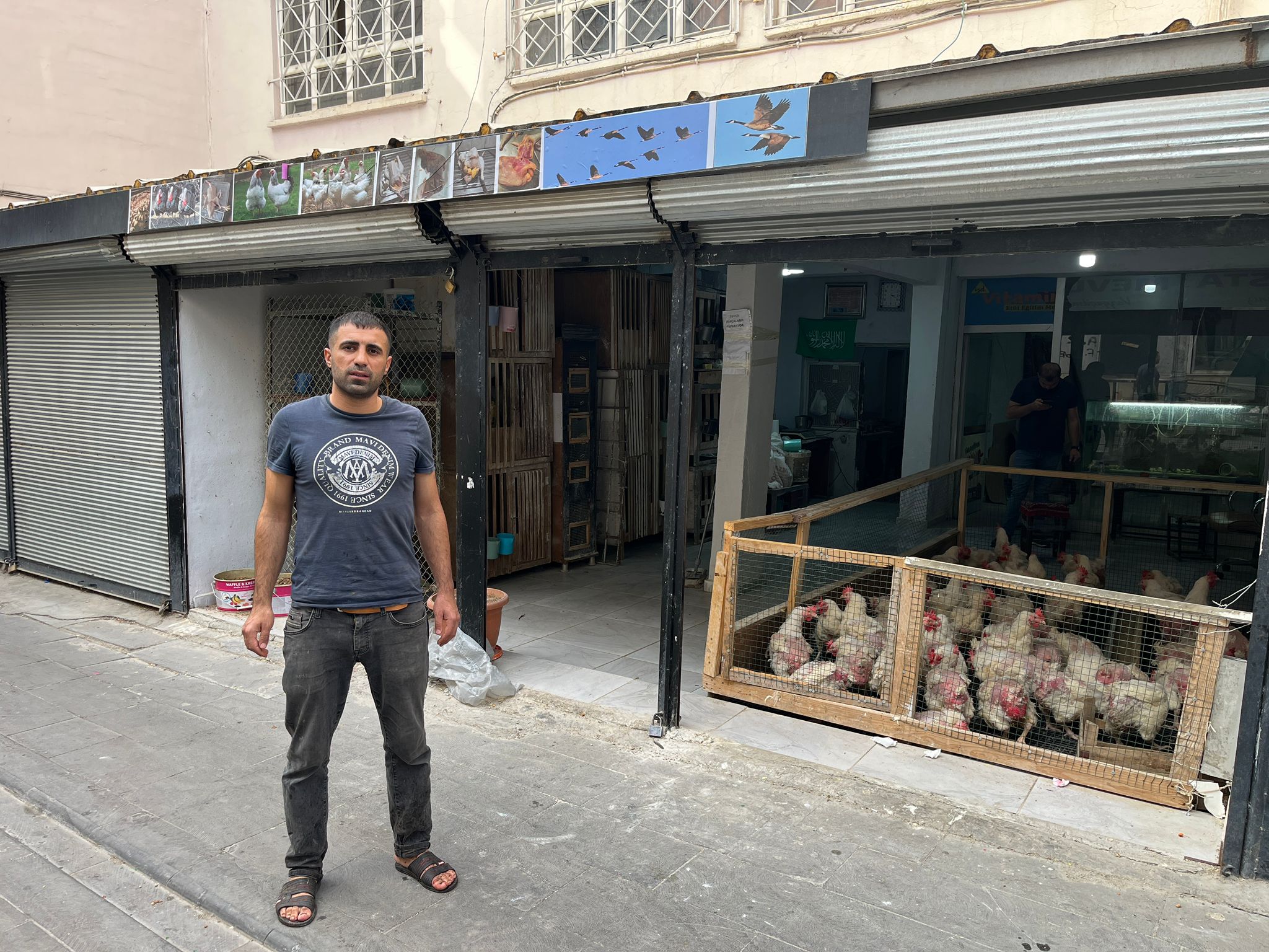 Bir Tavuk İçin 1 Saat Pazarlık! (3)