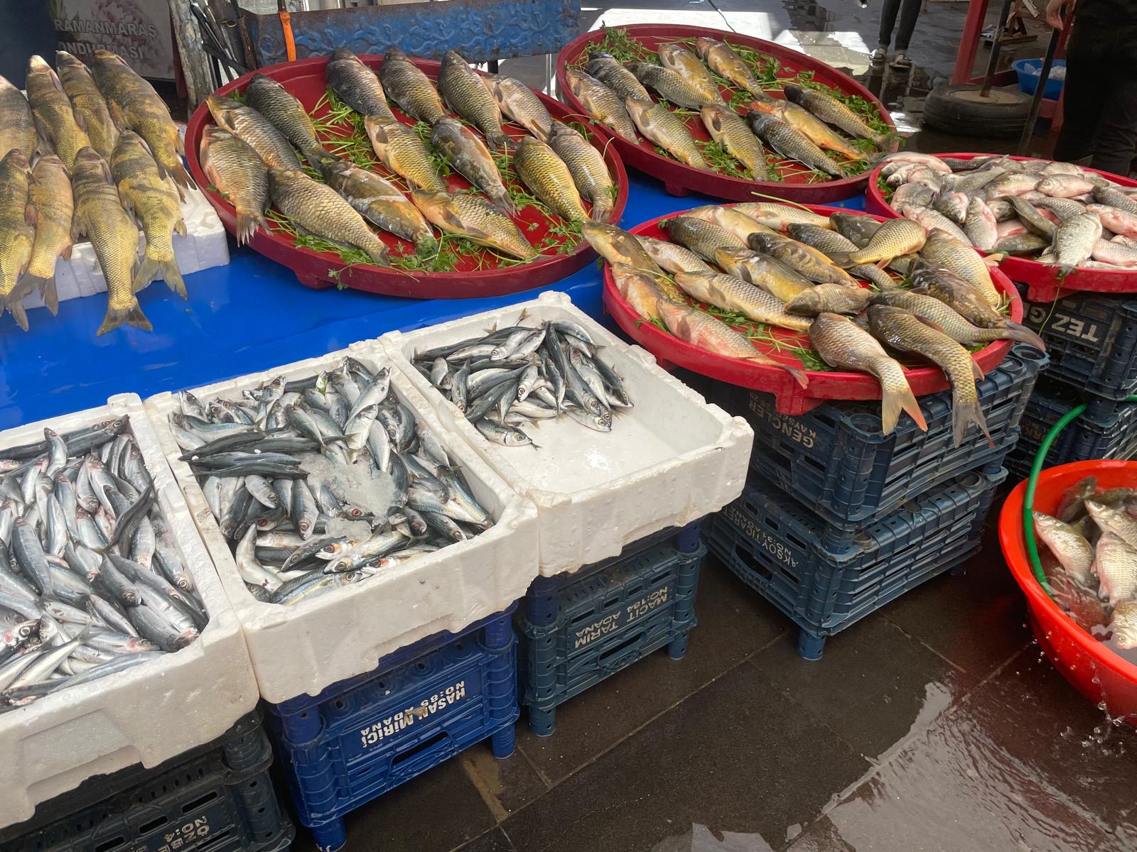 Canlı Canlı Satılan Batman Çayı Balıkları İlgi Odağı (6)