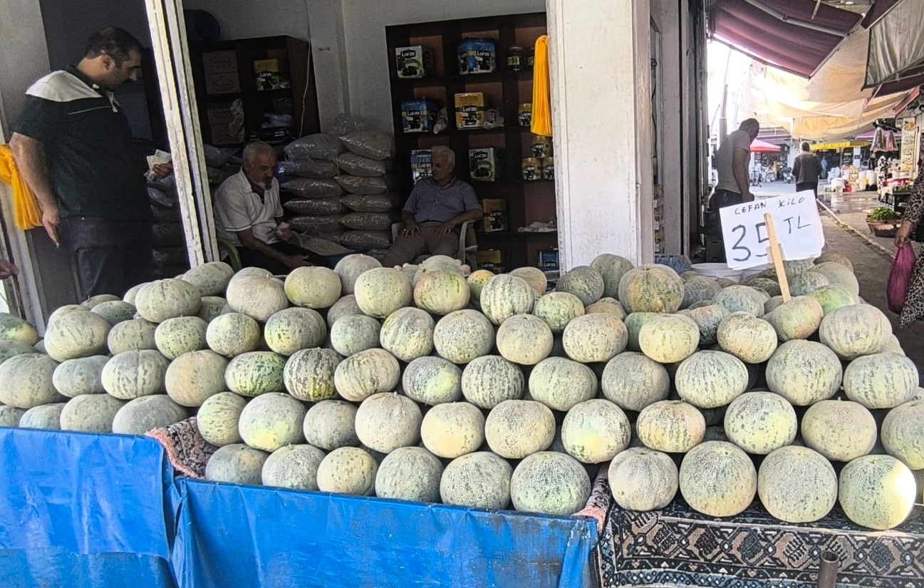 Cefan Kavunu Cep Yakıyor Sezonu Bitecek Ama Fiyatı Düşmedi (2)