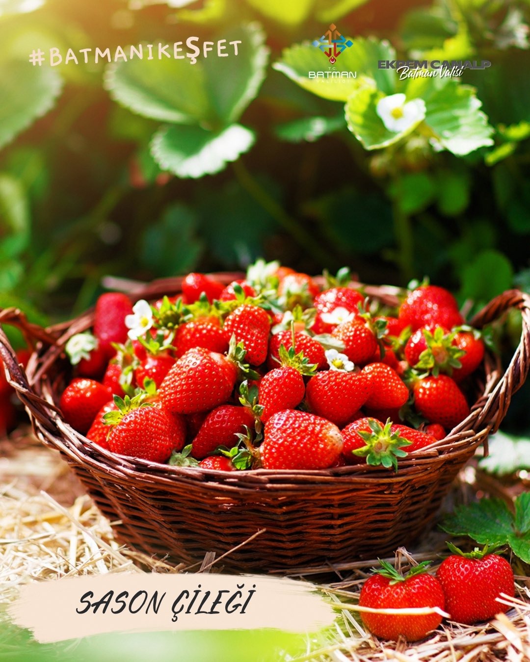 G2 Rg K X0 A A N4 O6