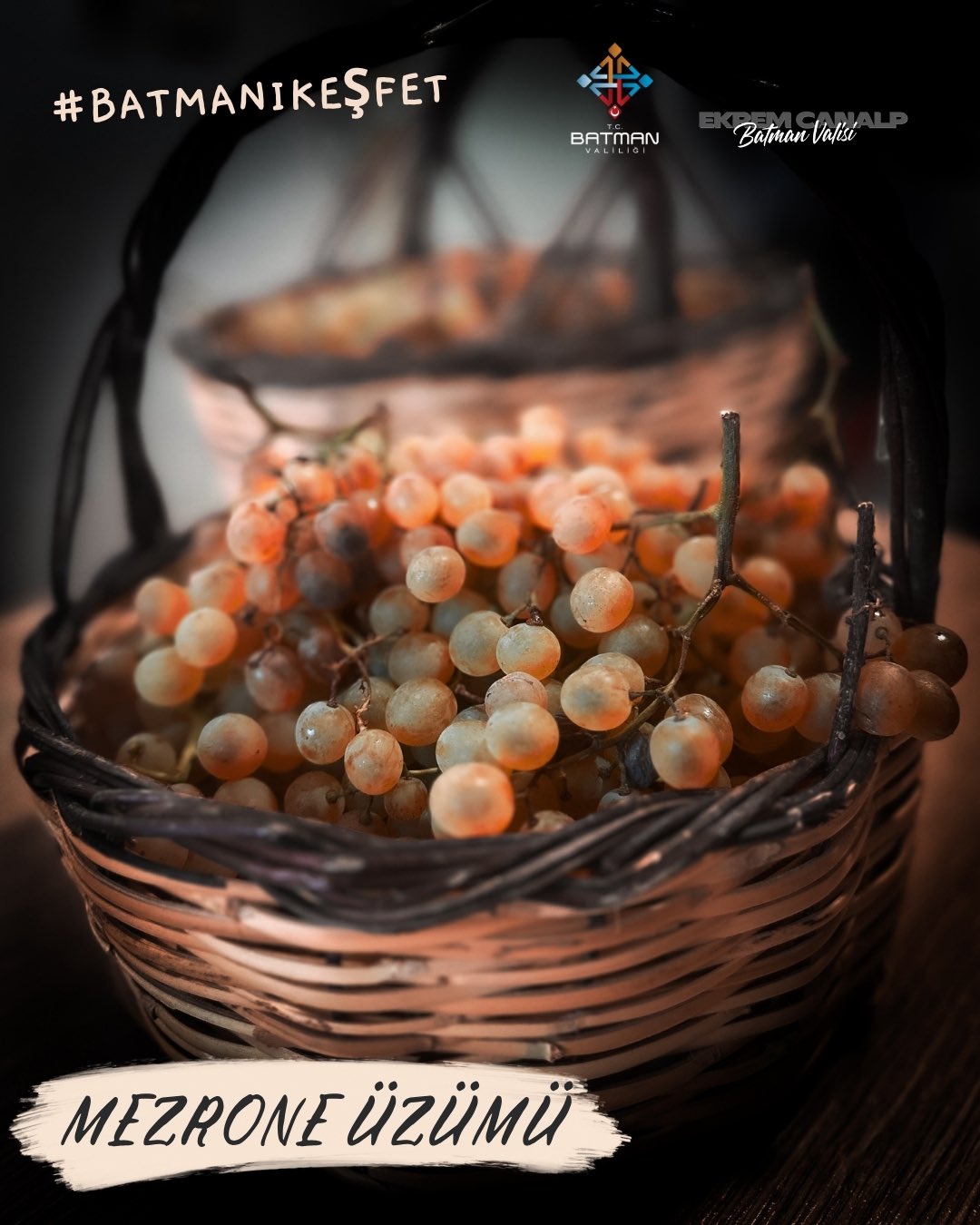 G2 Rg K7 X Y A Ap8M A