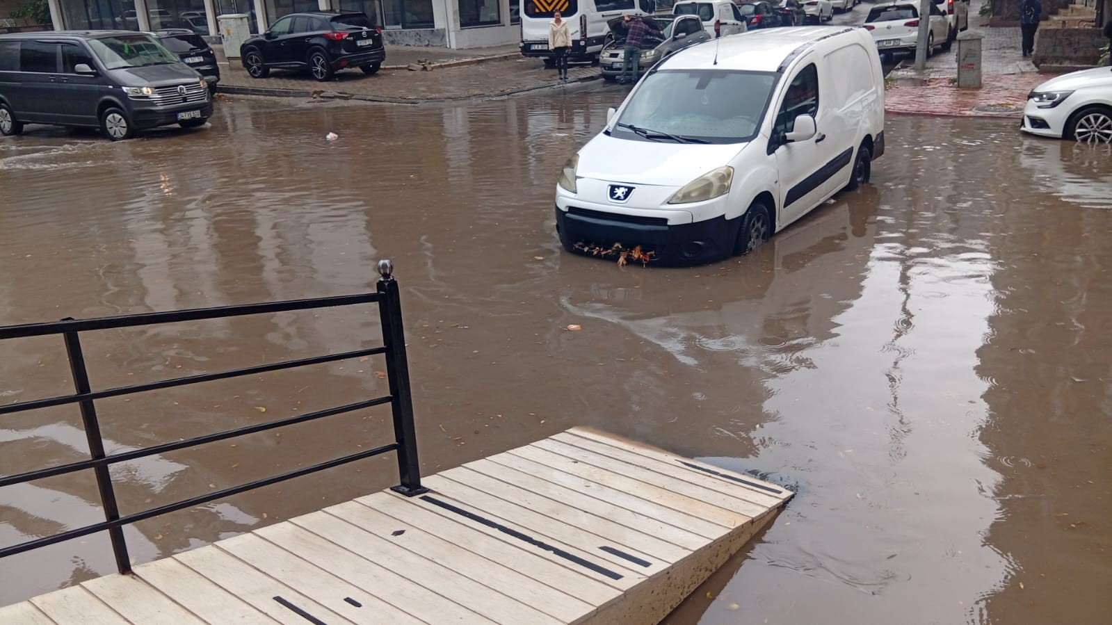 8E4Dda59 9E1E 4D38 9Ff9 C4Ac53529A9A-1