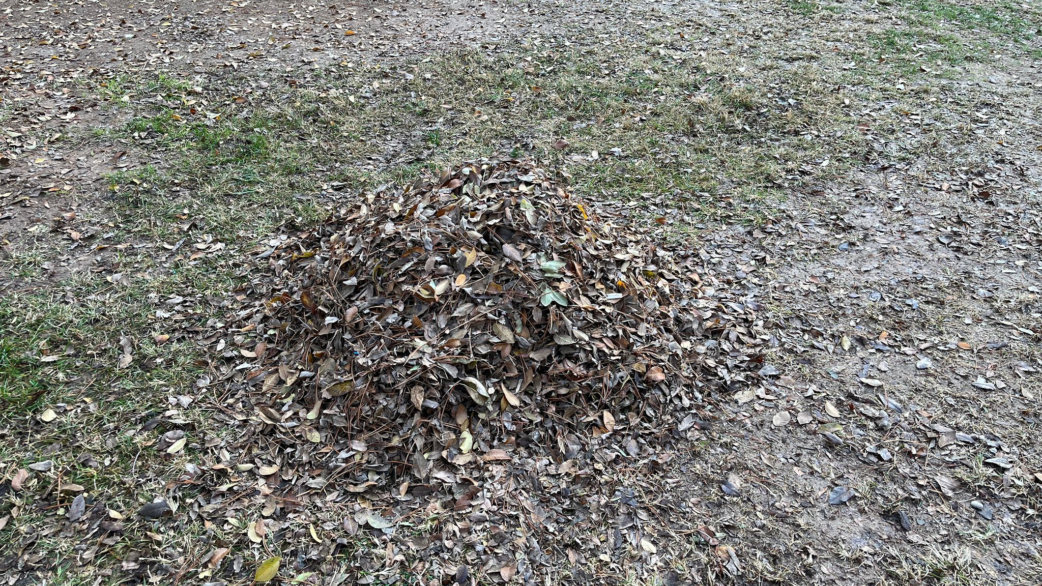 Batman Belediyesi Atatürk Parkı’nda Sonbahar Temizliği Çalışması Yaptı (3)