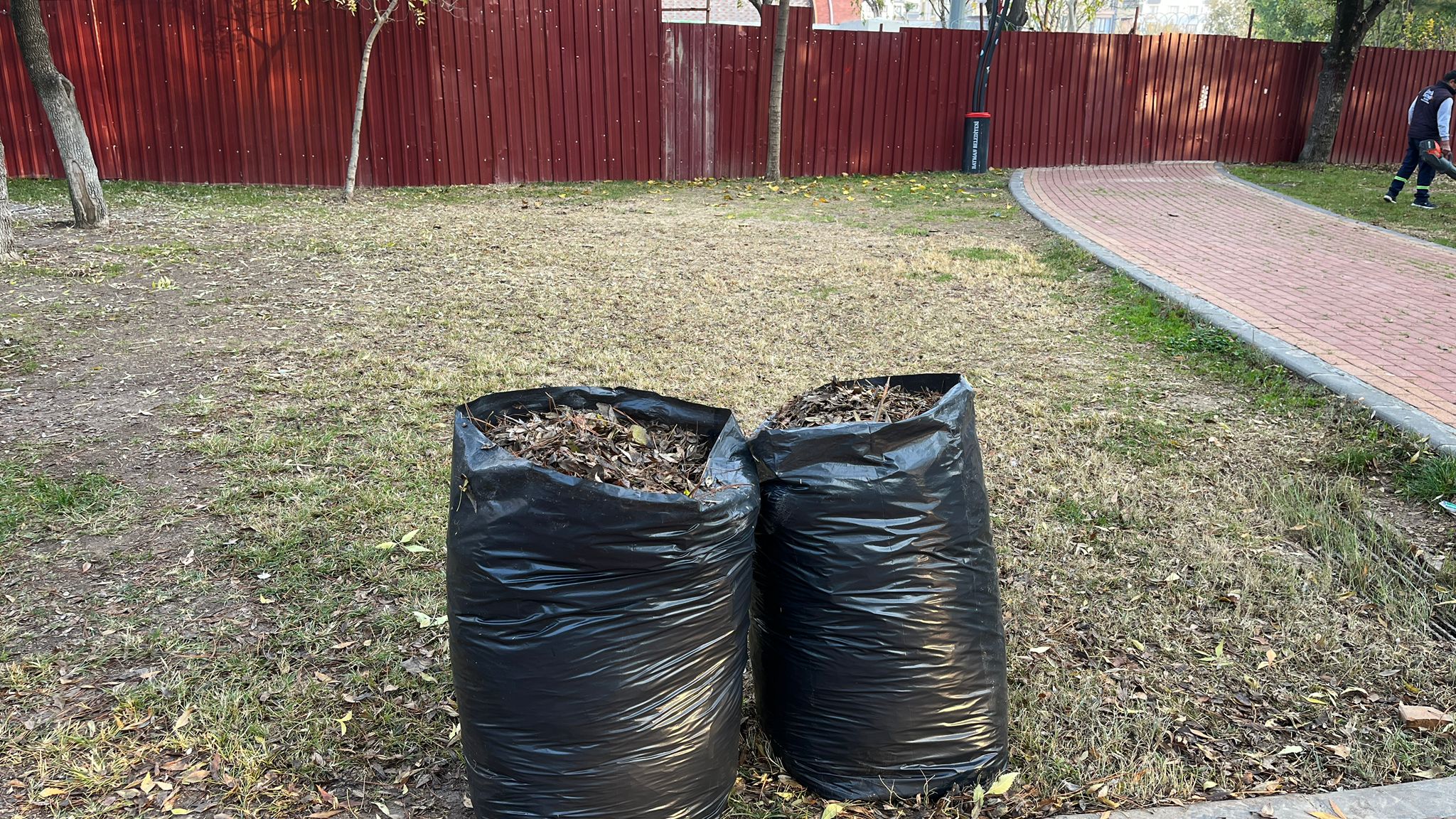 Batman Belediyesi Atatürk Parkı’nda Sonbahar Temizliği Çalışması Yaptı (4)