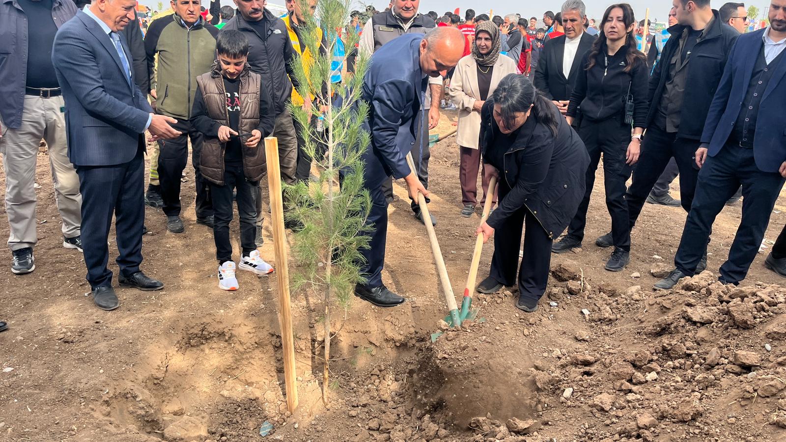 Batman’da Ağaçlandırma Seferberliği! Geleceğe Nefes, Batman’a Yeşil Umut (3)