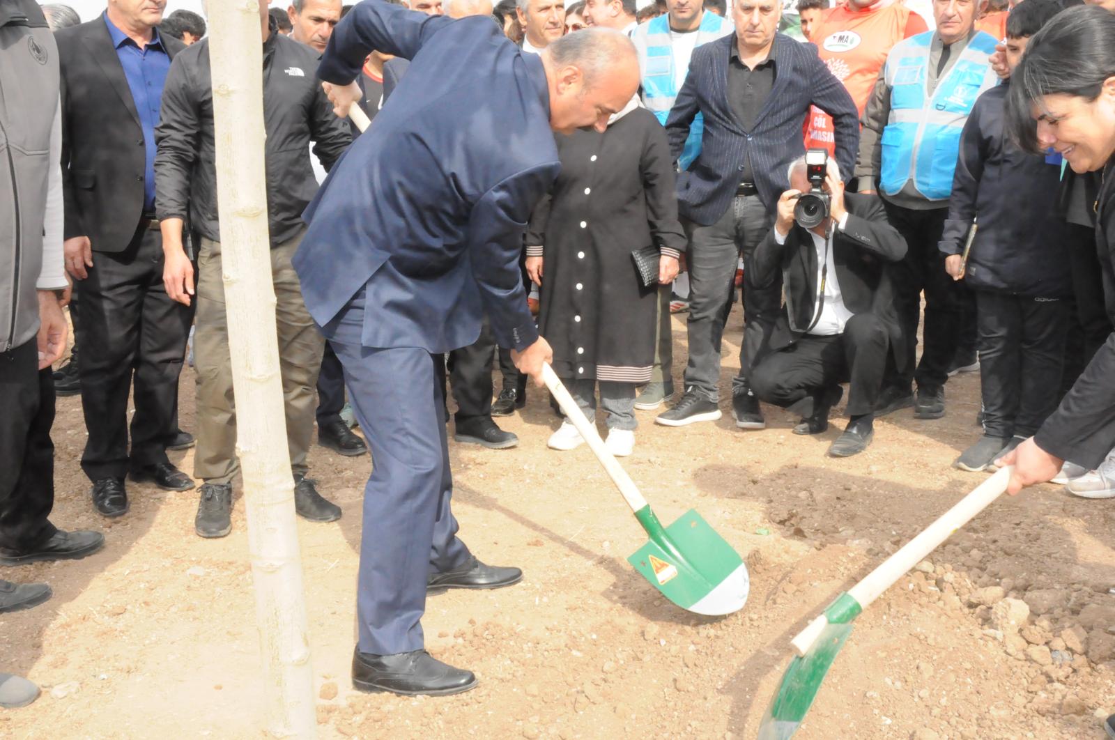 Batman’da Ağaçlandırma Seferberliği! Geleceğe Nefes, Batman’a Yeşil Umut (6)