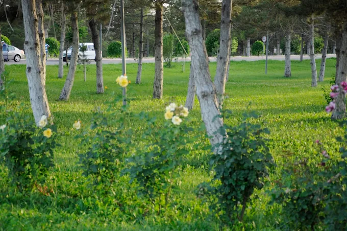 Batman’ın İki Farklı Yüzü! Eşitsizliğin Görüntüsü (5)