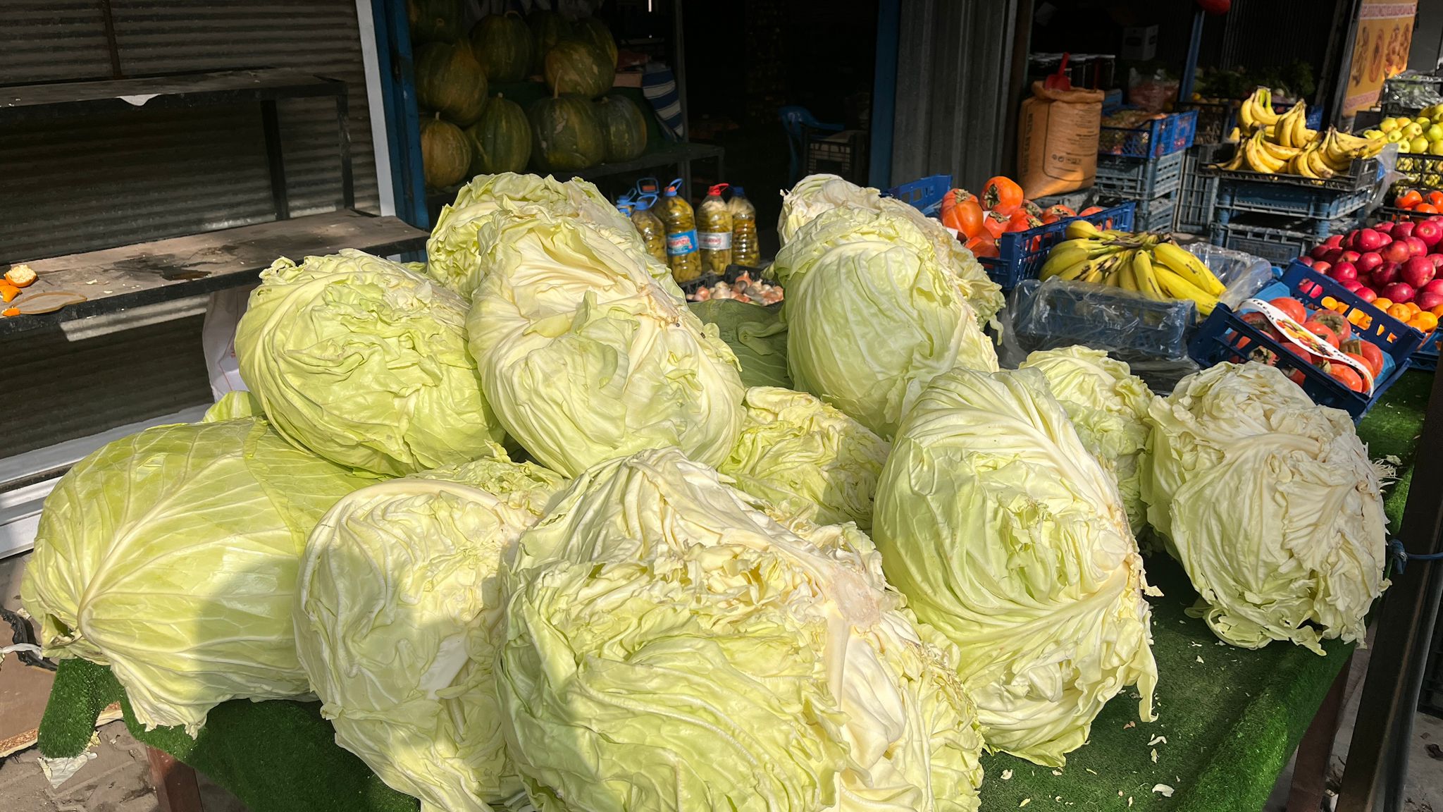 Batmanlılar Turşuluk İçin Muş Lahanasını Tercih Ediyor (1)