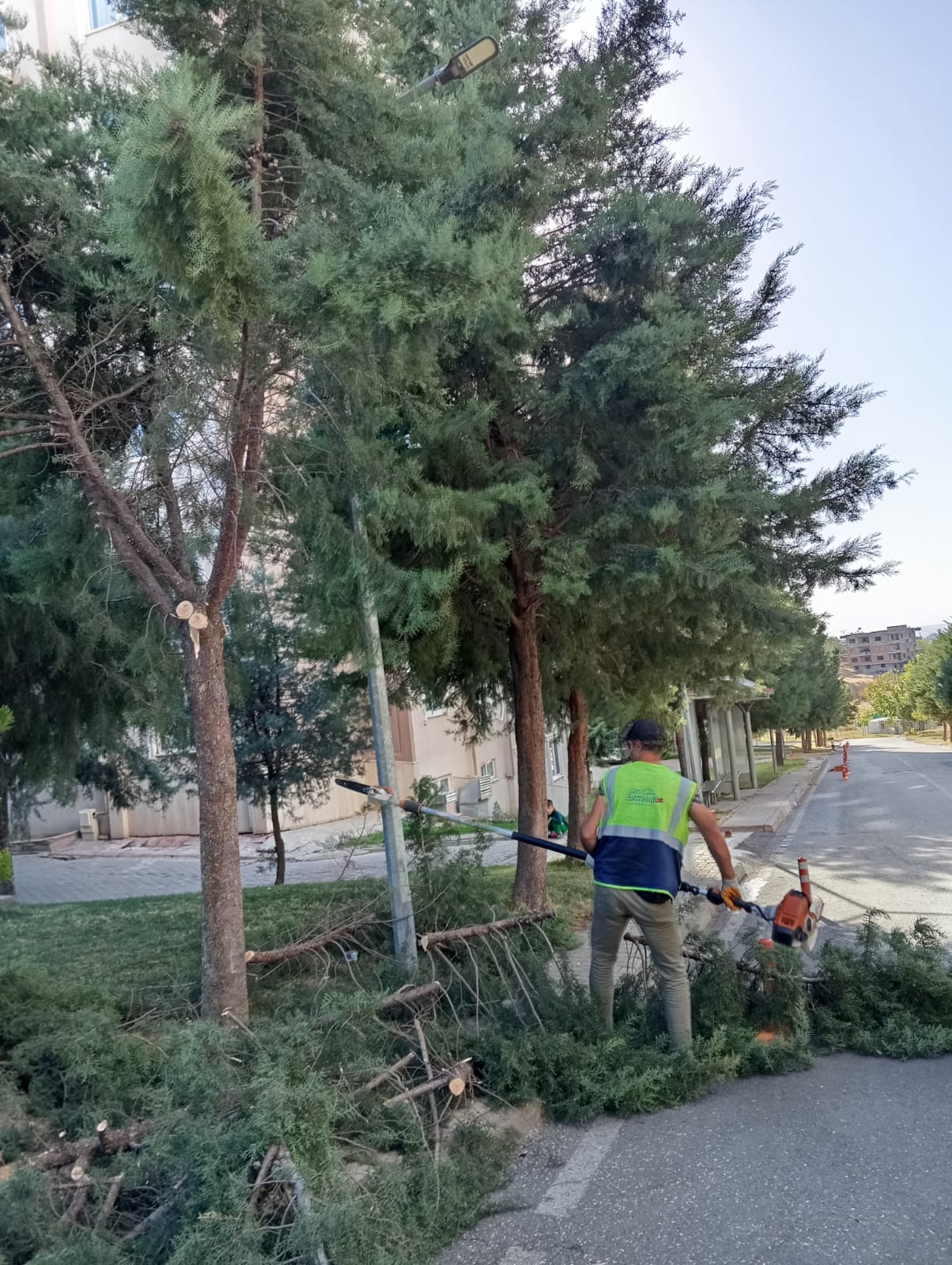 Budanan Dallardan İhtiyaç Sahiplerine Yakacak Desteği (2)