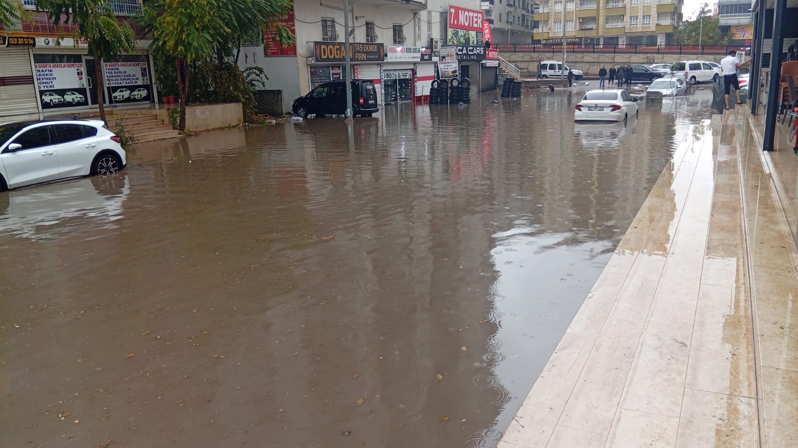 Eda04299 00E8 445F 867F Ba043E4D4D50