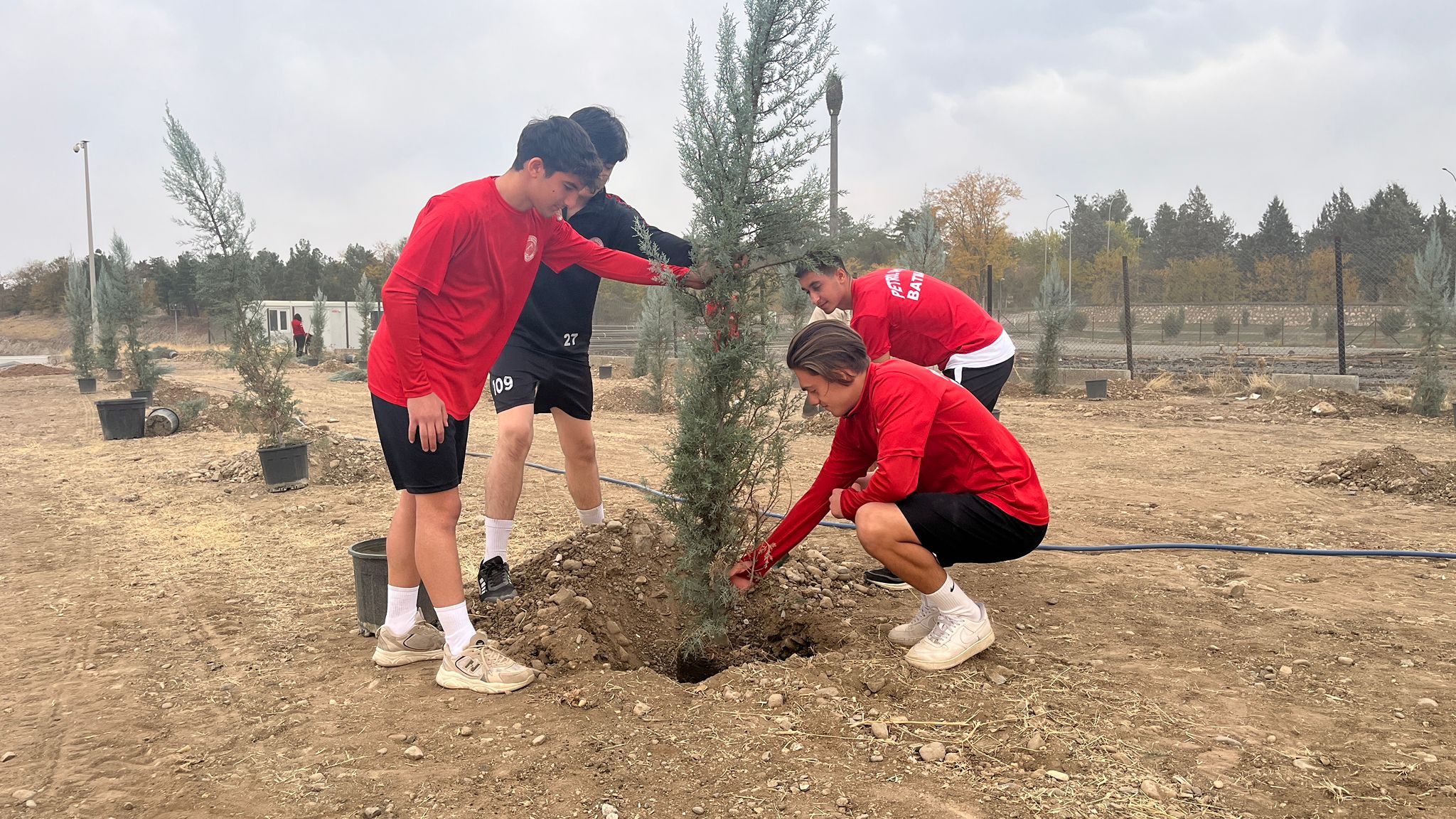 F7Bd31Eb C29E 4326 9A29 A3357B777A1B