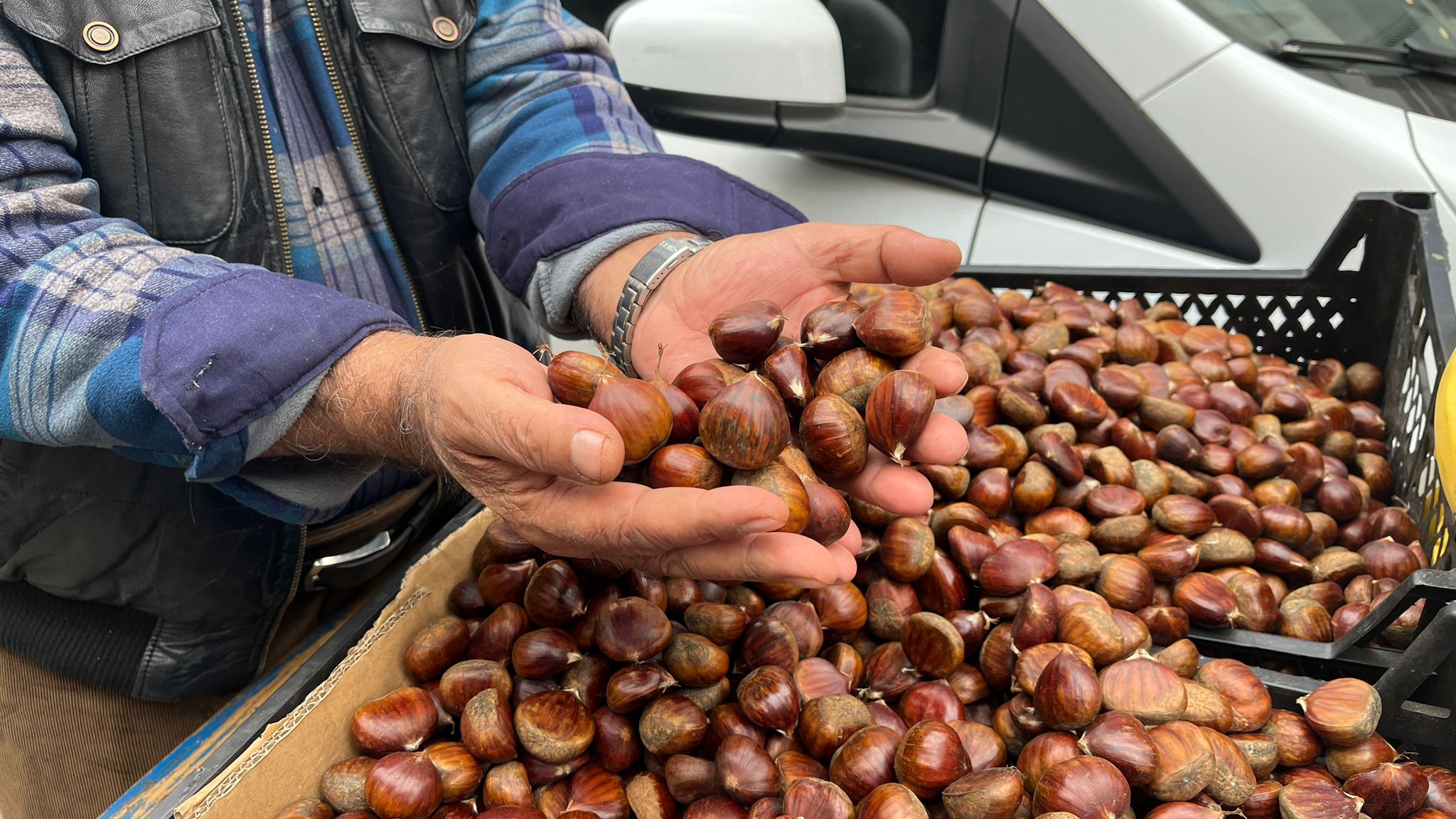 Soğukların Başlamasıyla Kestaneye İlgi Arttı (1)