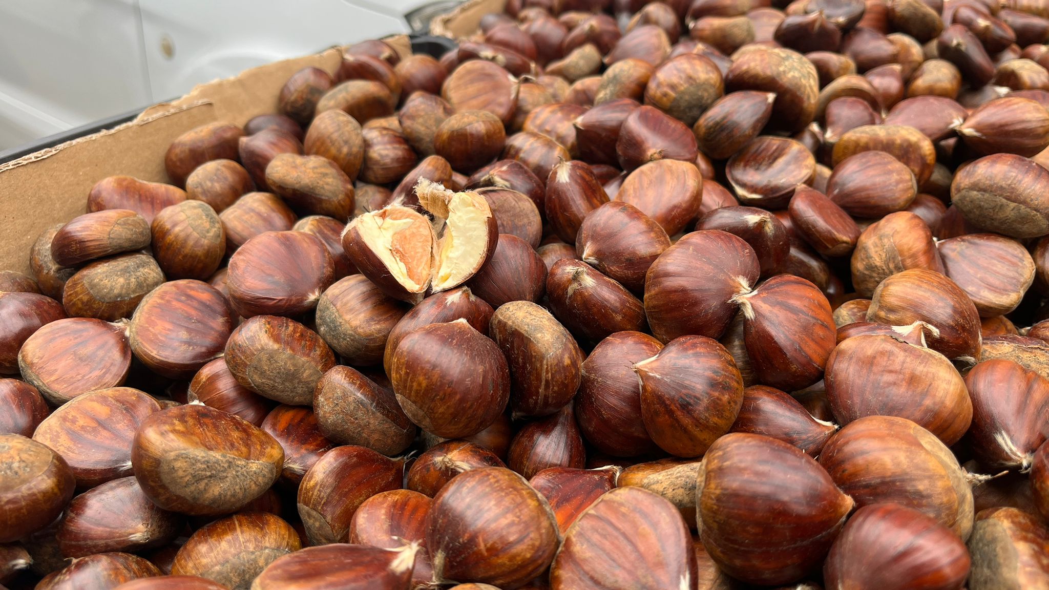 Soğukların Başlamasıyla Kestaneye İlgi Arttı (2)