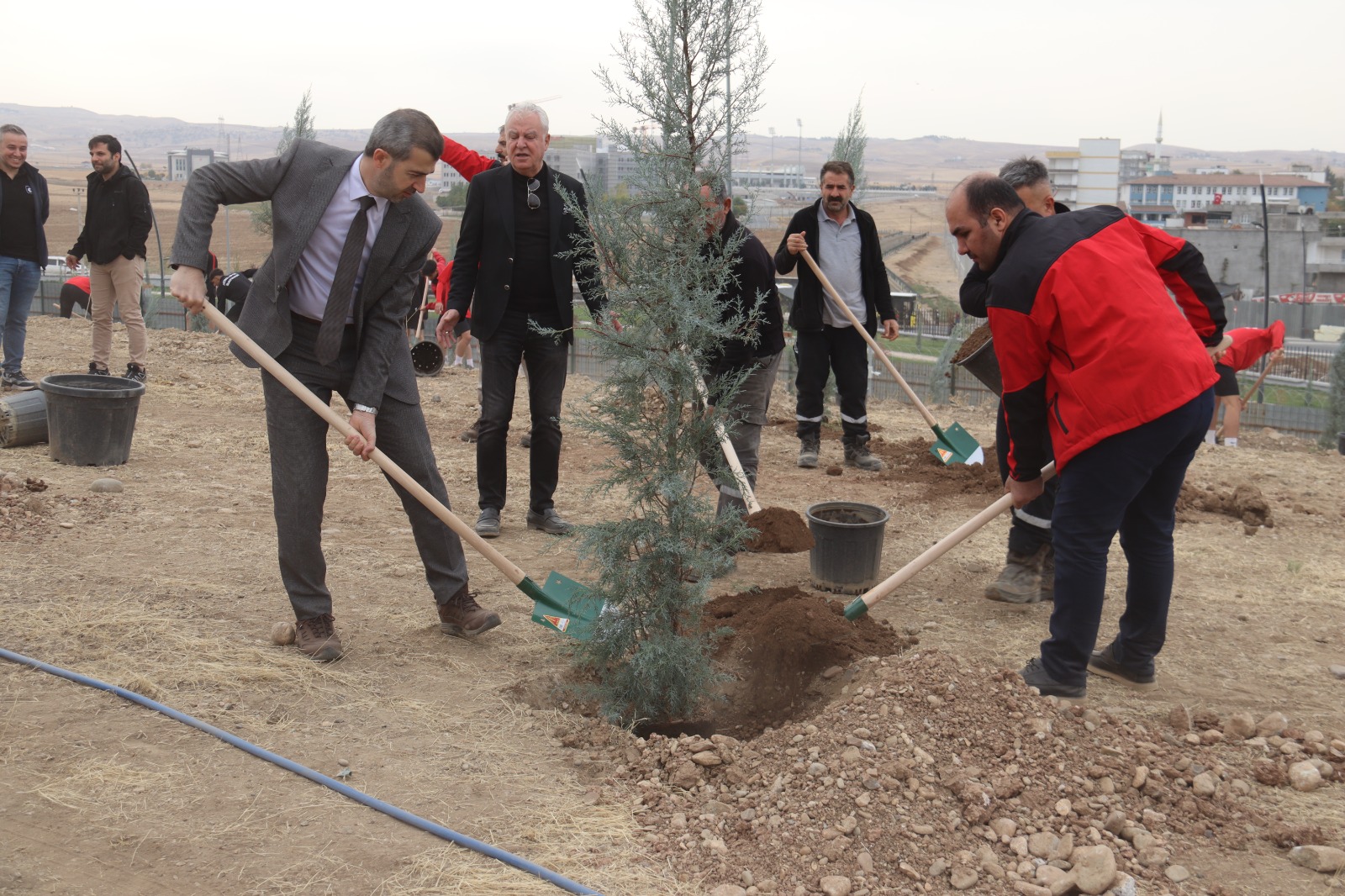 Tpao Batman Bölge Müdürlüğü’nden Yeşil Vatan’a 500 Fidanlık Katkı (3)