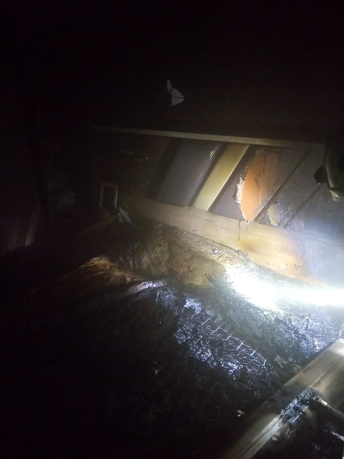 Whatsapp Image 2025 11 16 At 18.53.18