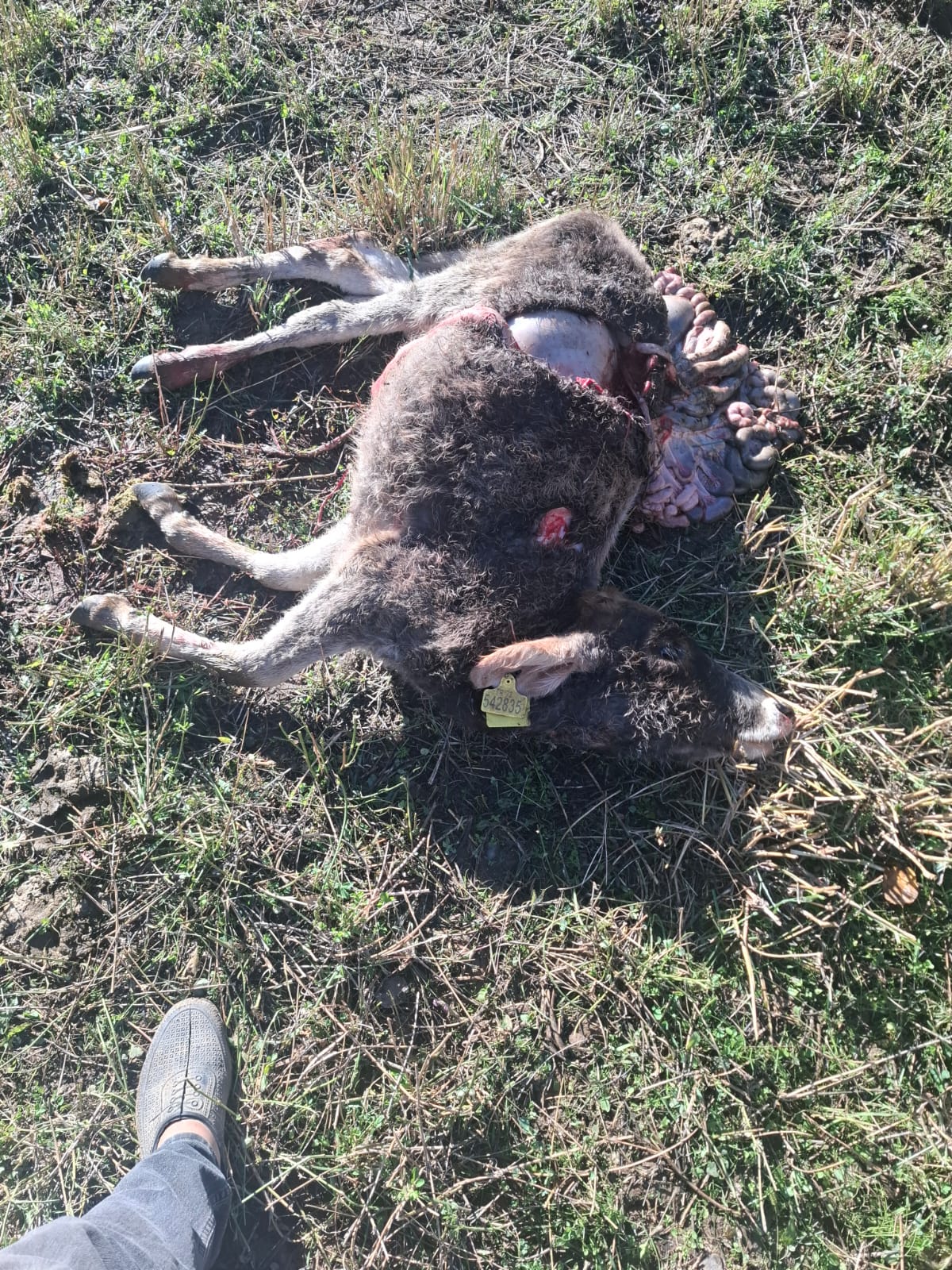 Whatsapp Image 2025 11 22 At 14.18.34 (1)