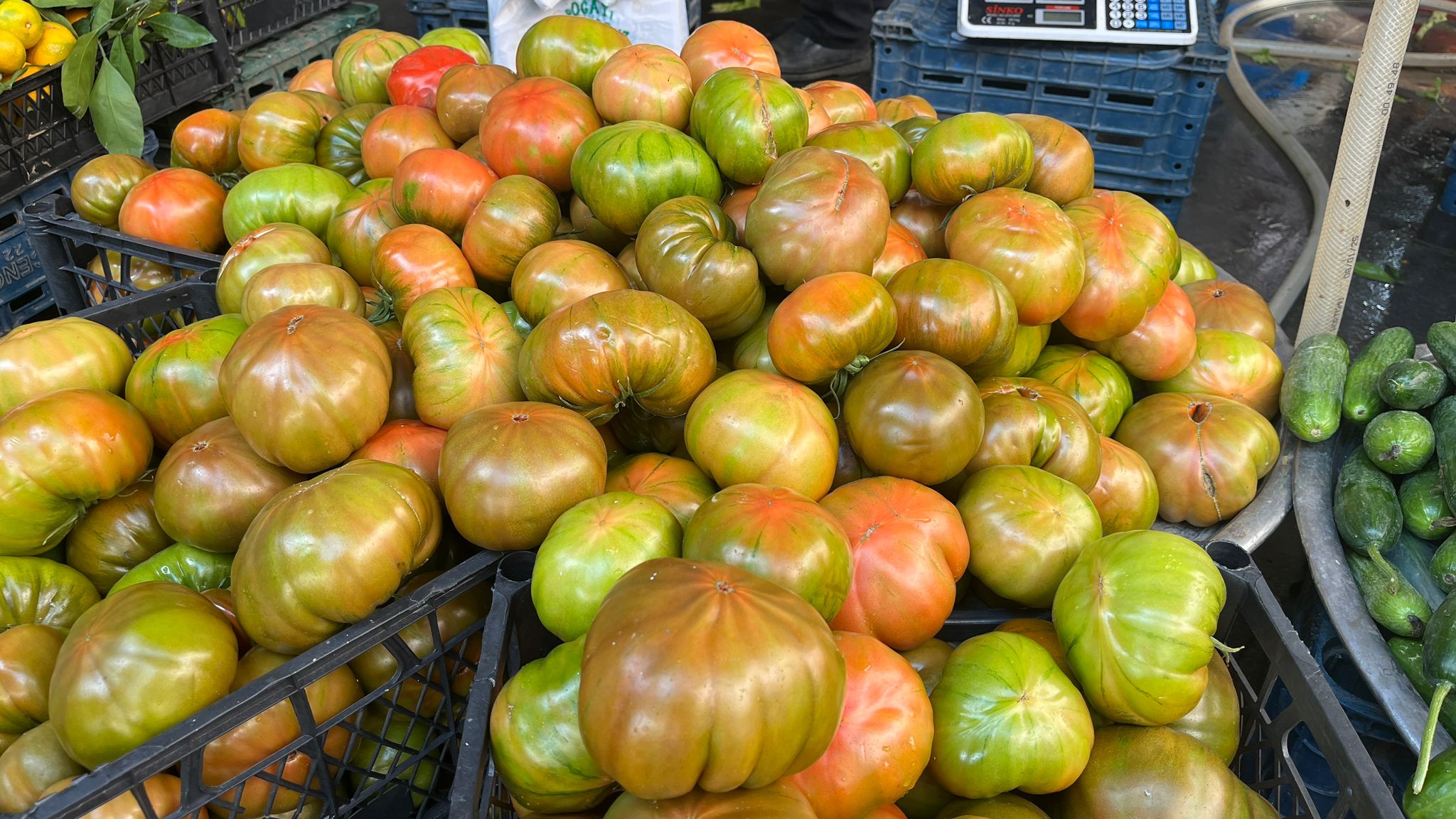 5926Ccd1 Aa45 404C 8E4E 88180A58562B