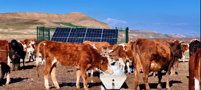 Batman Hayvancılığına Yenilenebilir Enerji Dopingi Serçe Parmak Projesi Ile 40 Köye Kalıcı Su Çözümü (1)