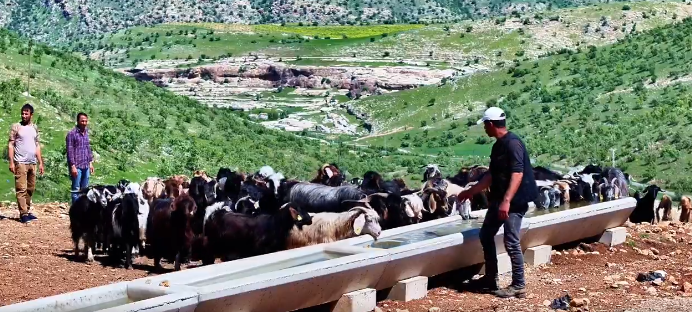 Batman Hayvancılığına Yenilenebilir Enerji Dopingi Serçe Parmak Projesi Ile 40 Köye Kalıcı Su Çözümü (3)