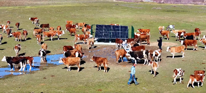 Batman Hayvancılığına Yenilenebilir Enerji Dopingi Serçe Parmak Projesi Ile 40 Köye Kalıcı Su Çözümü (4)