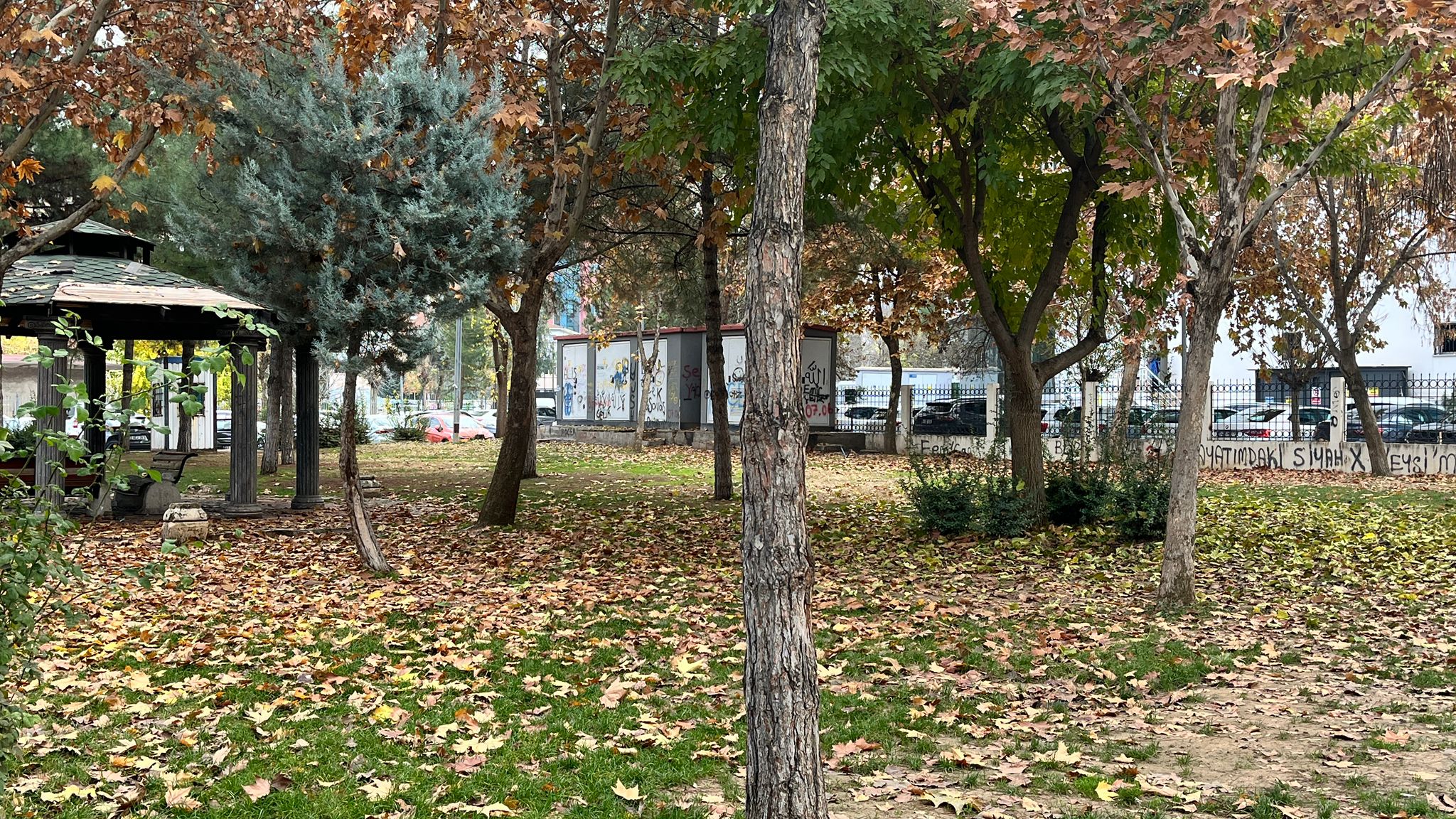 Batman’da Kışın Sessiz Güzelliği Kartpostallık Manzaralar (1)