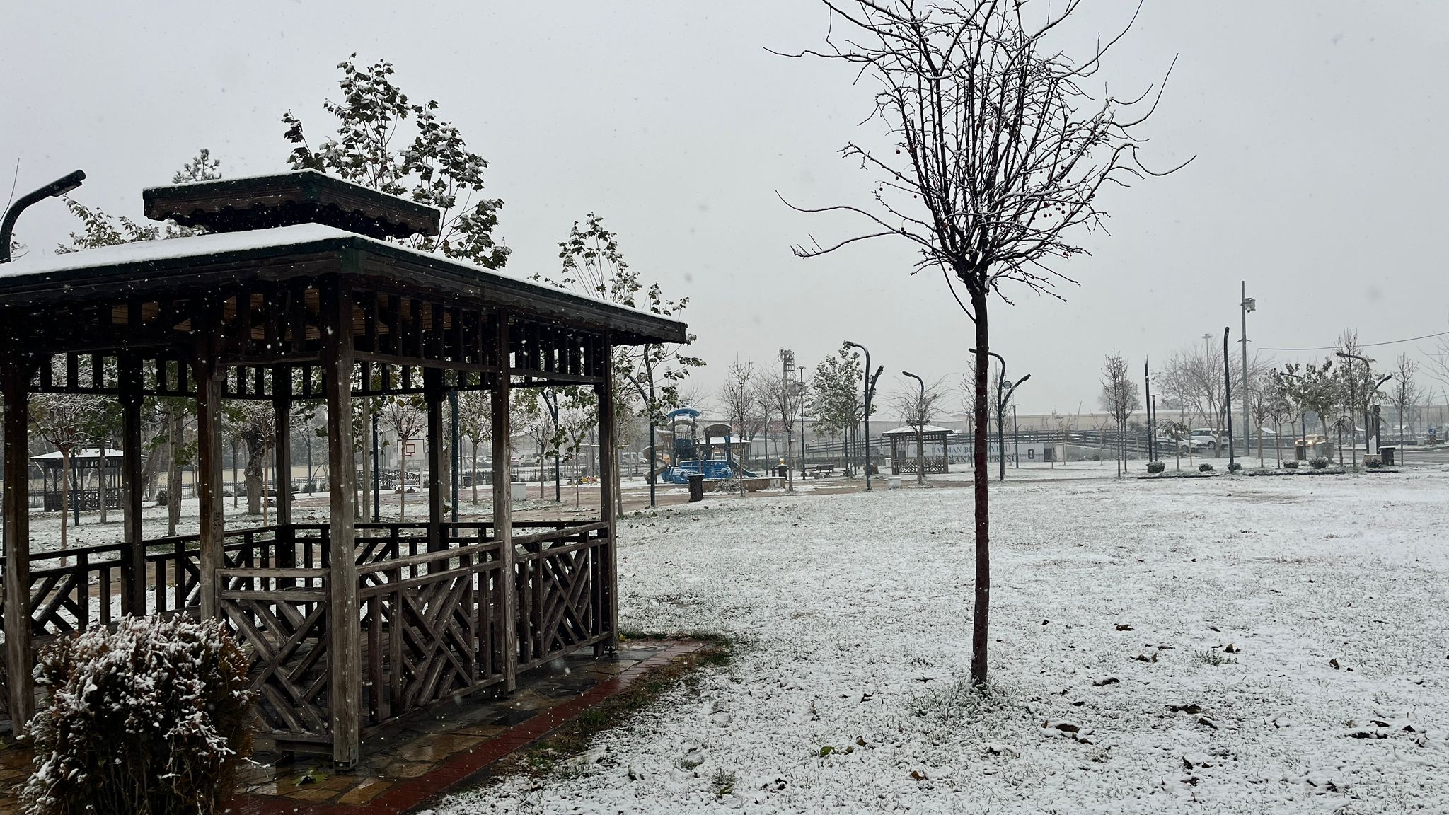 Batman’da Yılın İlk Kar Yağışı Etkili Oldu (2)