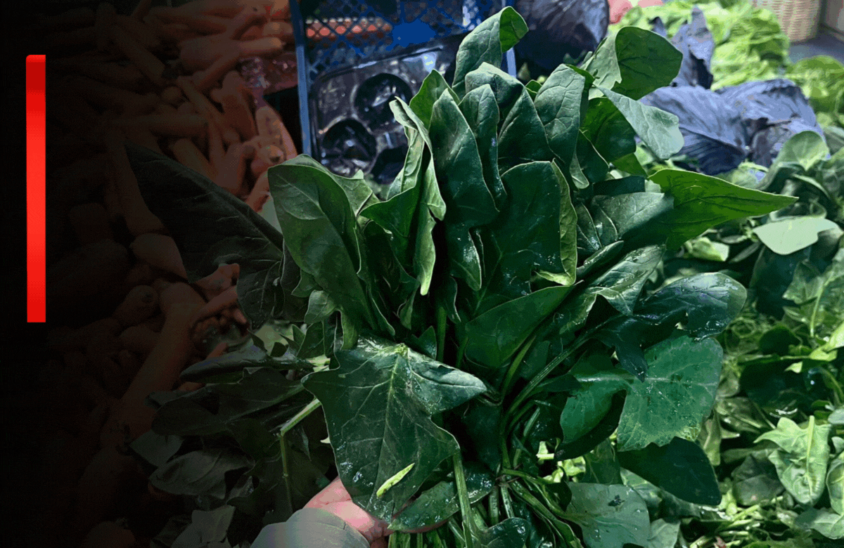 Soğuk Günlerin Şifası Tezgâhlarda