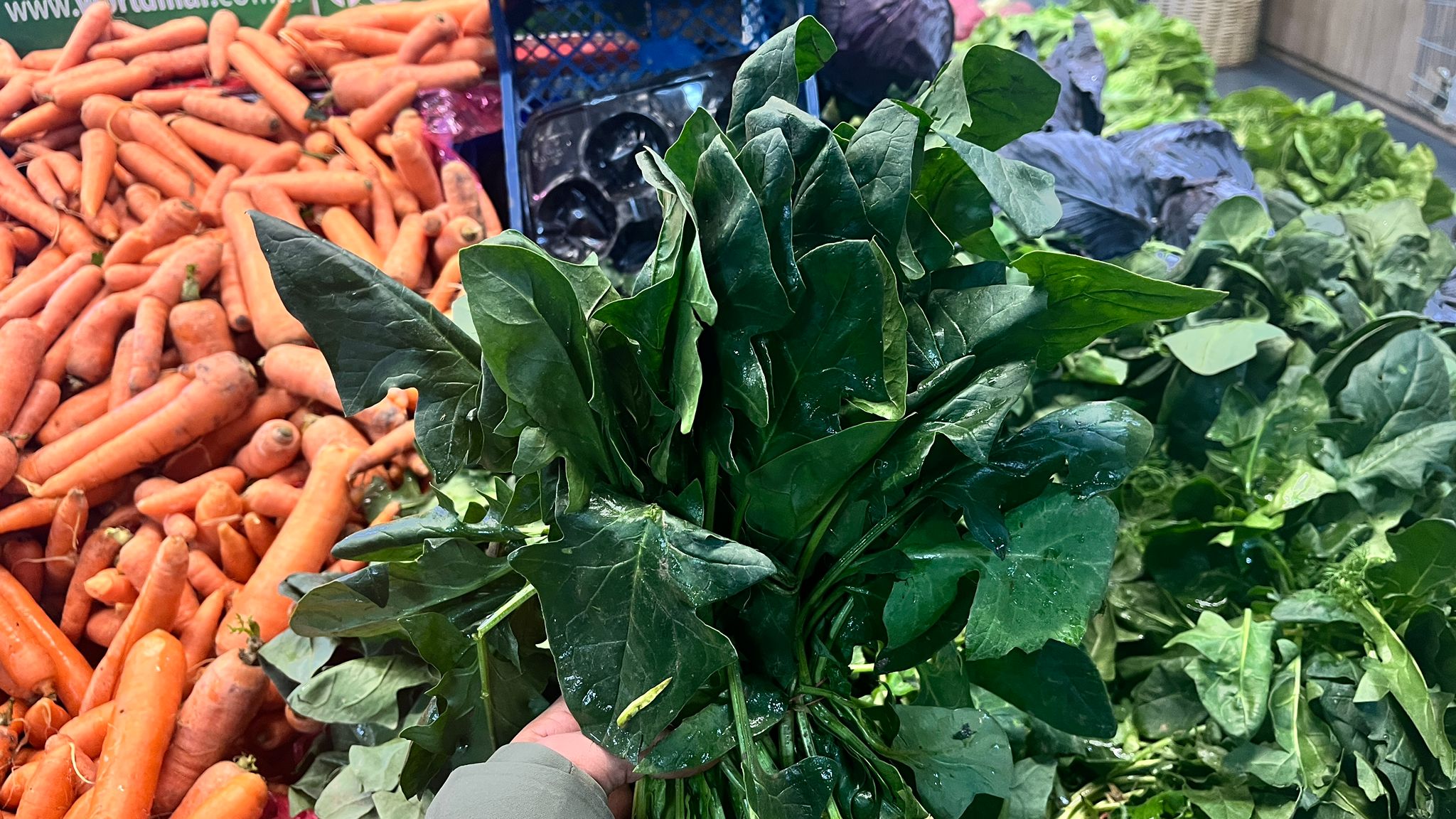 Soğuk Günlerin Şifası Tezgâhlarda (2)