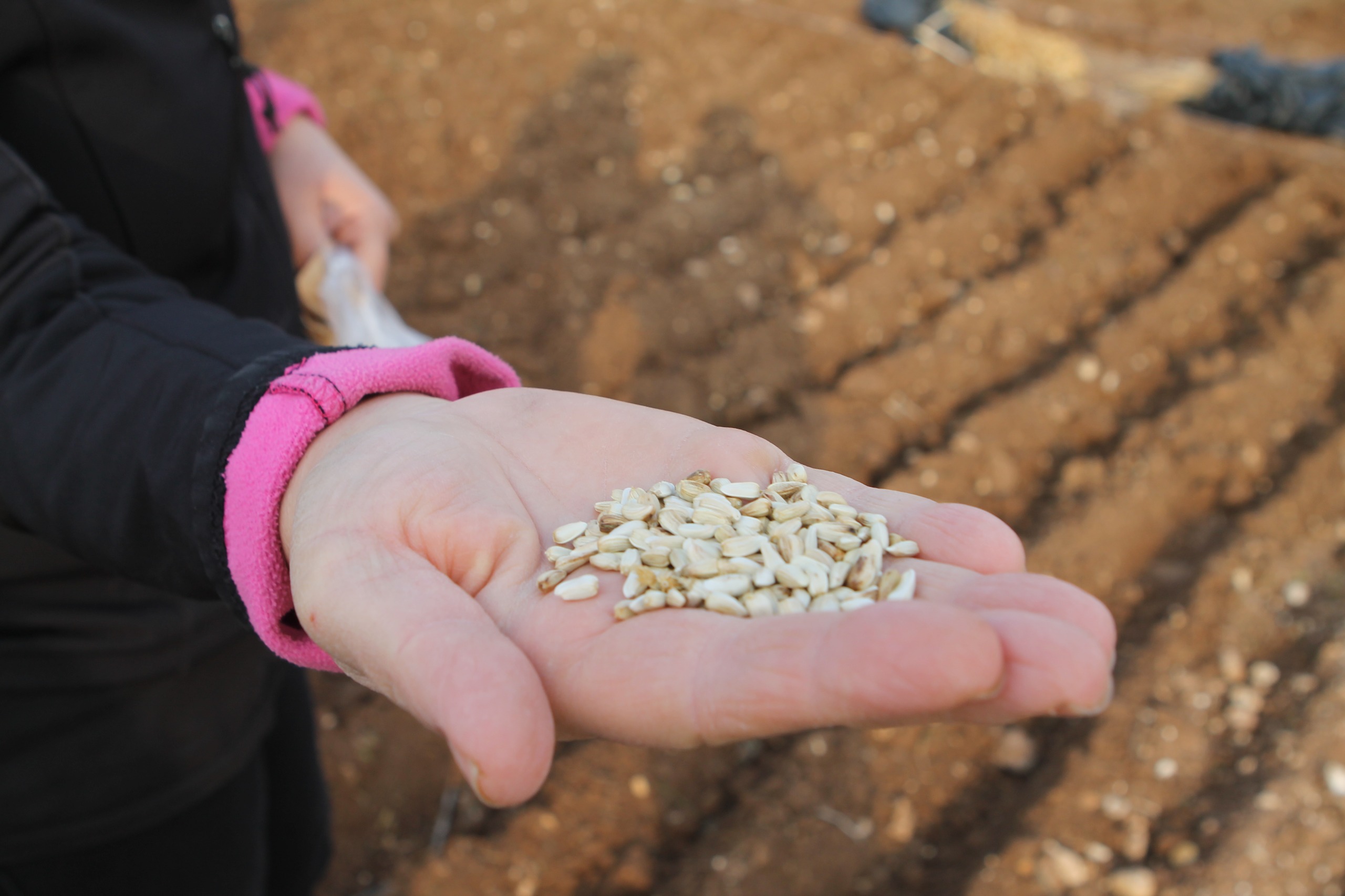 Whatsapp Image 2025 12 23 At 09.29.03