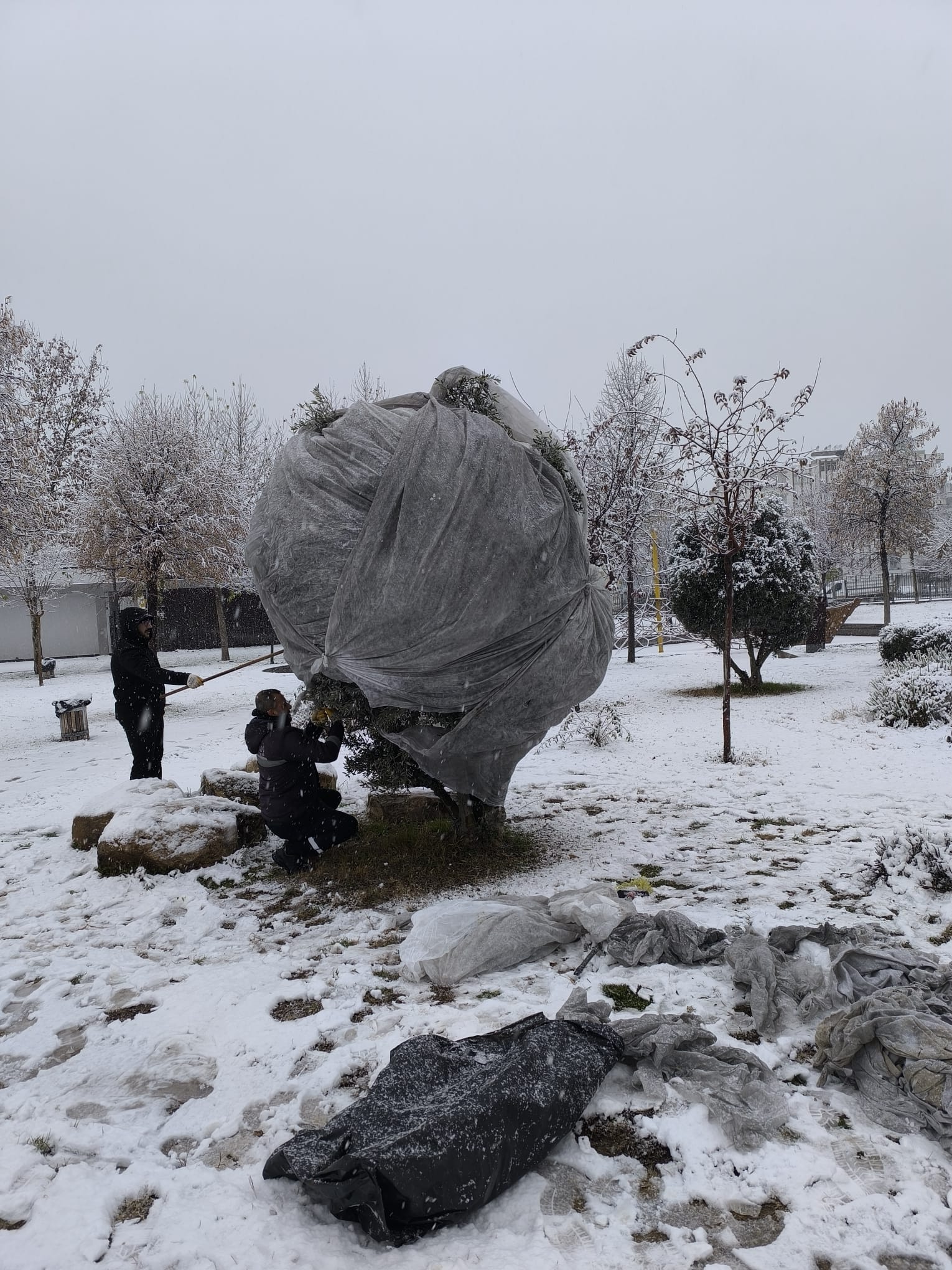 Whatsapp Image 2025 12 30 At 10.40.51