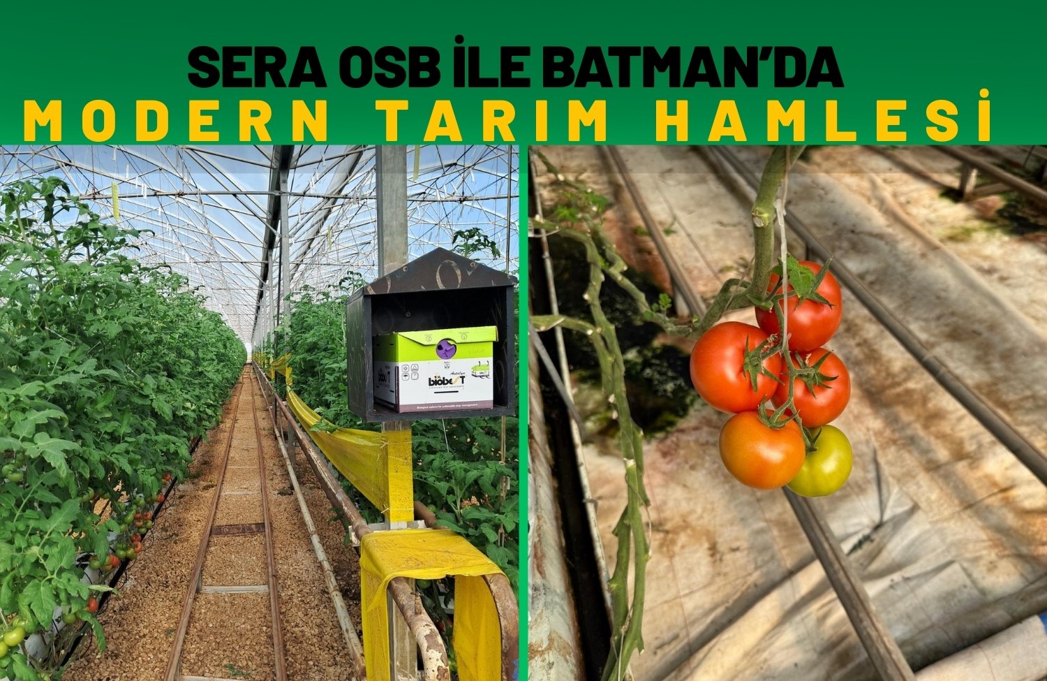 Sera Osb Ile Batman’da Modern Tarım Hamlesi (4)