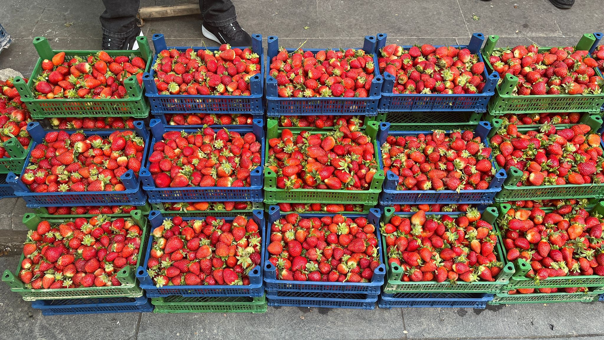 Alo Tevşo’da Sason Çileği Tezgahları Süsledi (3)