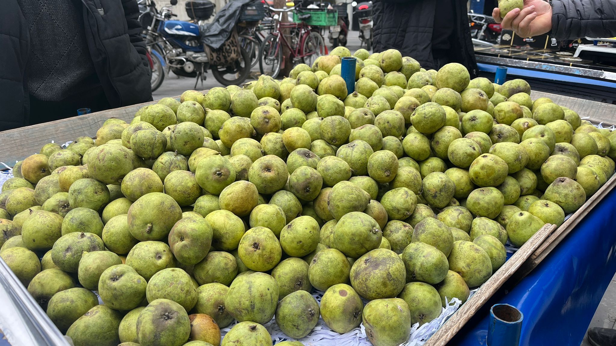 Batman’da Ankara Armudu İlgi Görüyor Kilosu 60 Tl (2)