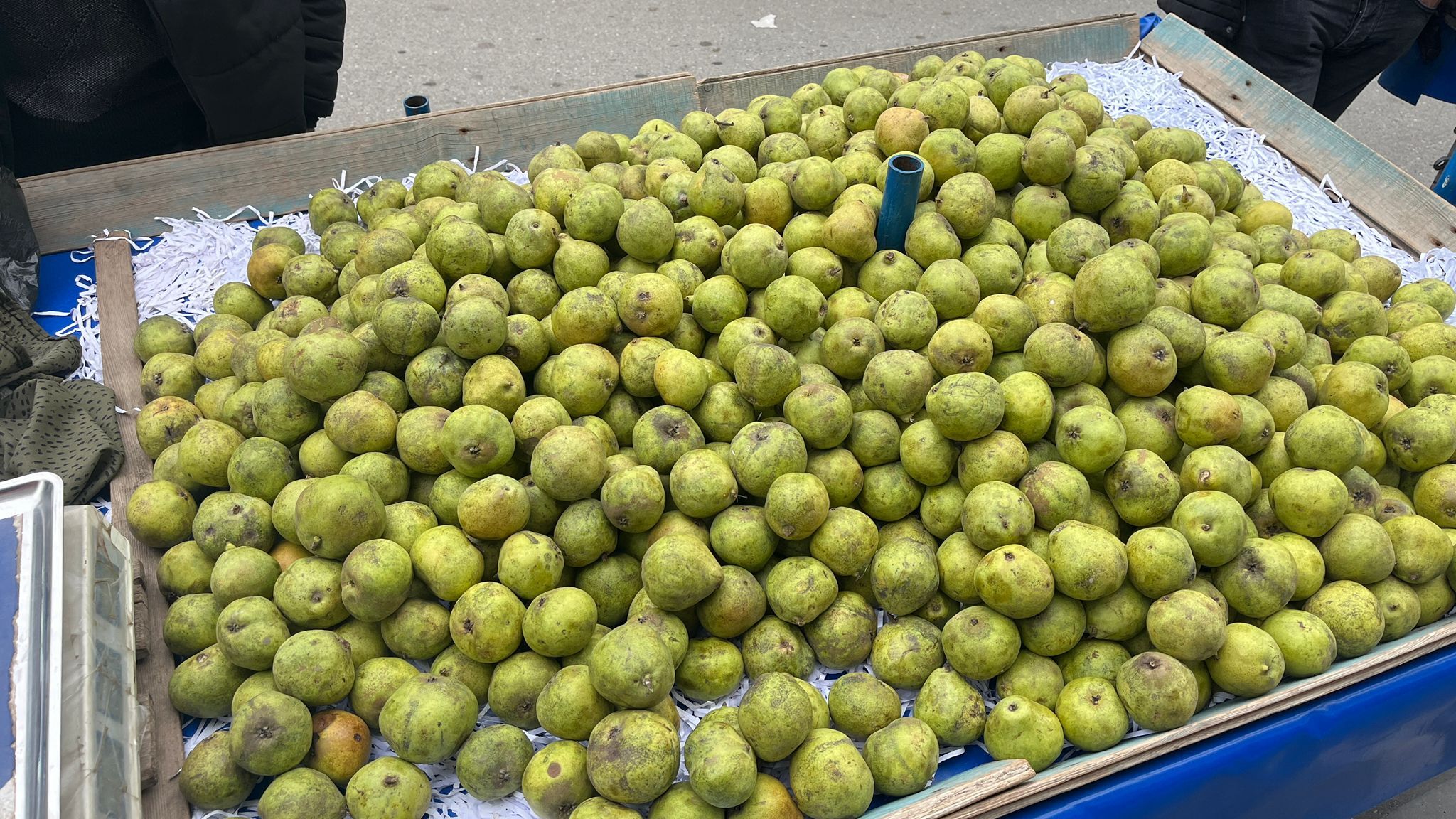 Batman’da Ankara Armudu İlgi Görüyor Kilosu 60 Tl (3)