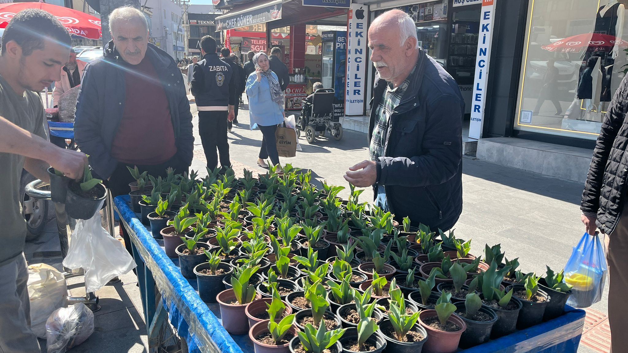 Batman’da Lale Satışları Başladı Saksısı 50 Tl (3)