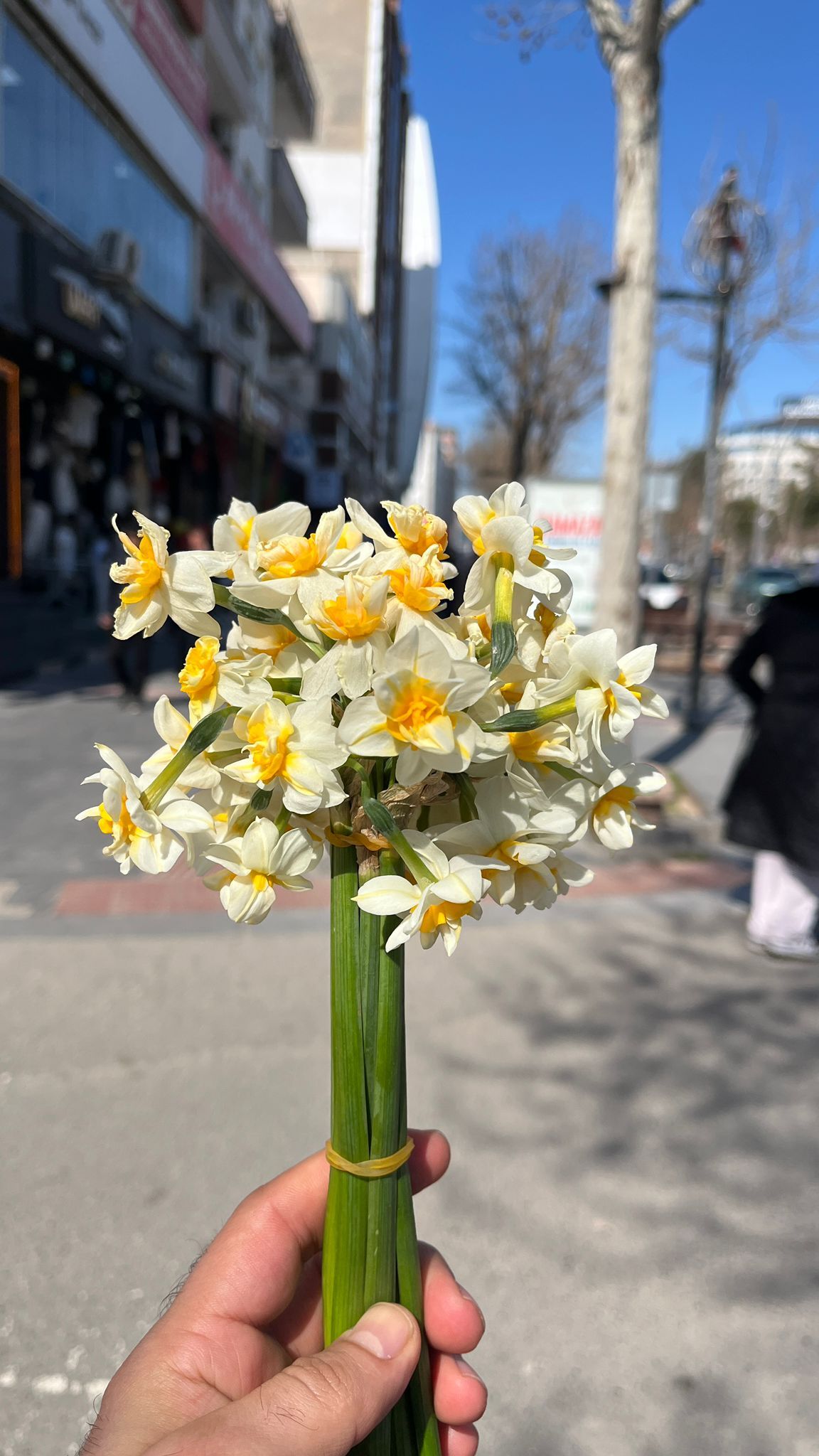 Batman’da Nergis Sezonu Kapanıyor Son Paketler Tezgahlarda (1)