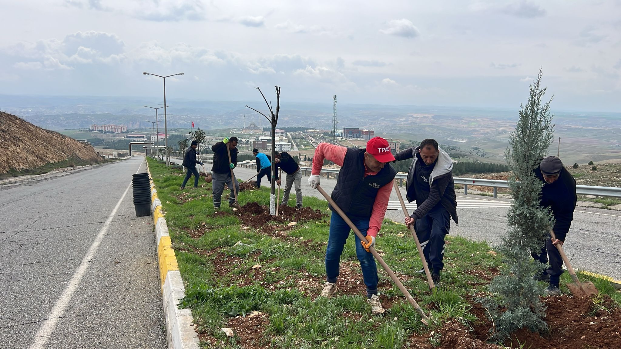 Batman’da Orta Refüjlere Ağaç Dikimi Gerçekleştiriliyor (1)