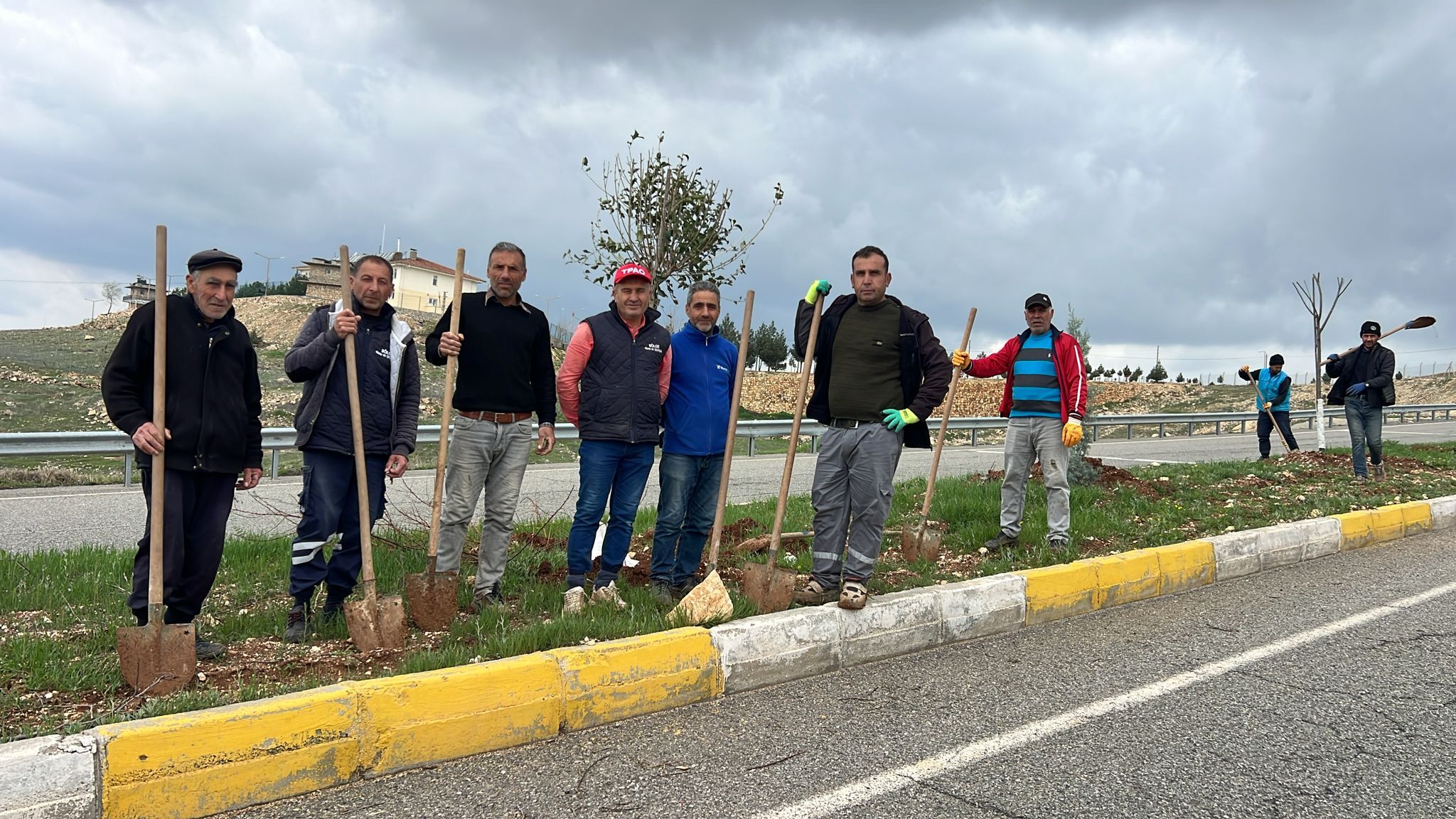 Batman’da Orta Refüjlere Ağaç Dikimi Gerçekleştiriliyor (2)