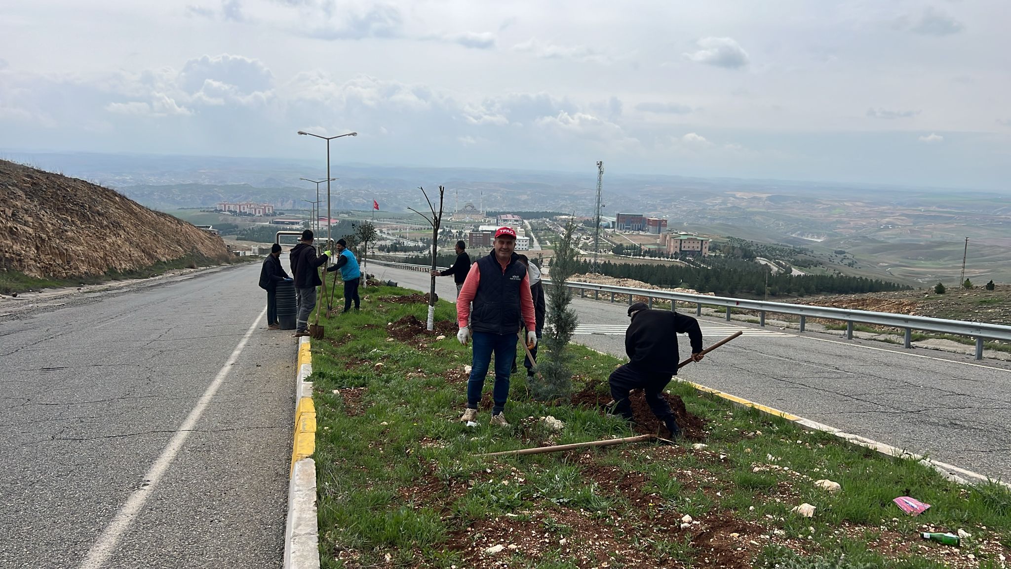 Batman’da Orta Refüjlere Ağaç Dikimi Gerçekleştiriliyor (3)