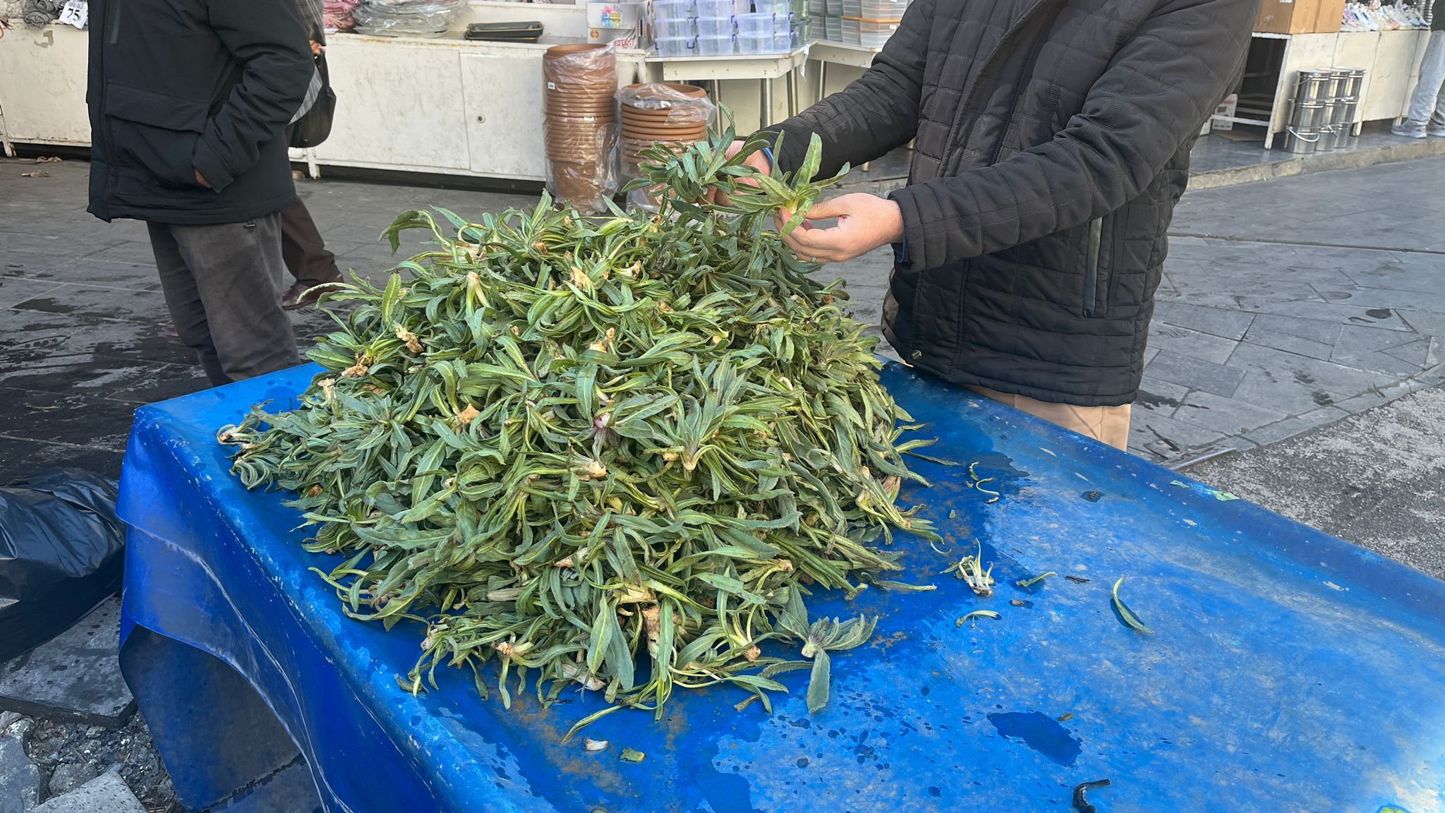 Dağlardan Gelen Şifa “Sığırdili” Çarşı Mahallesi’nde Tezgâhlarda (2)