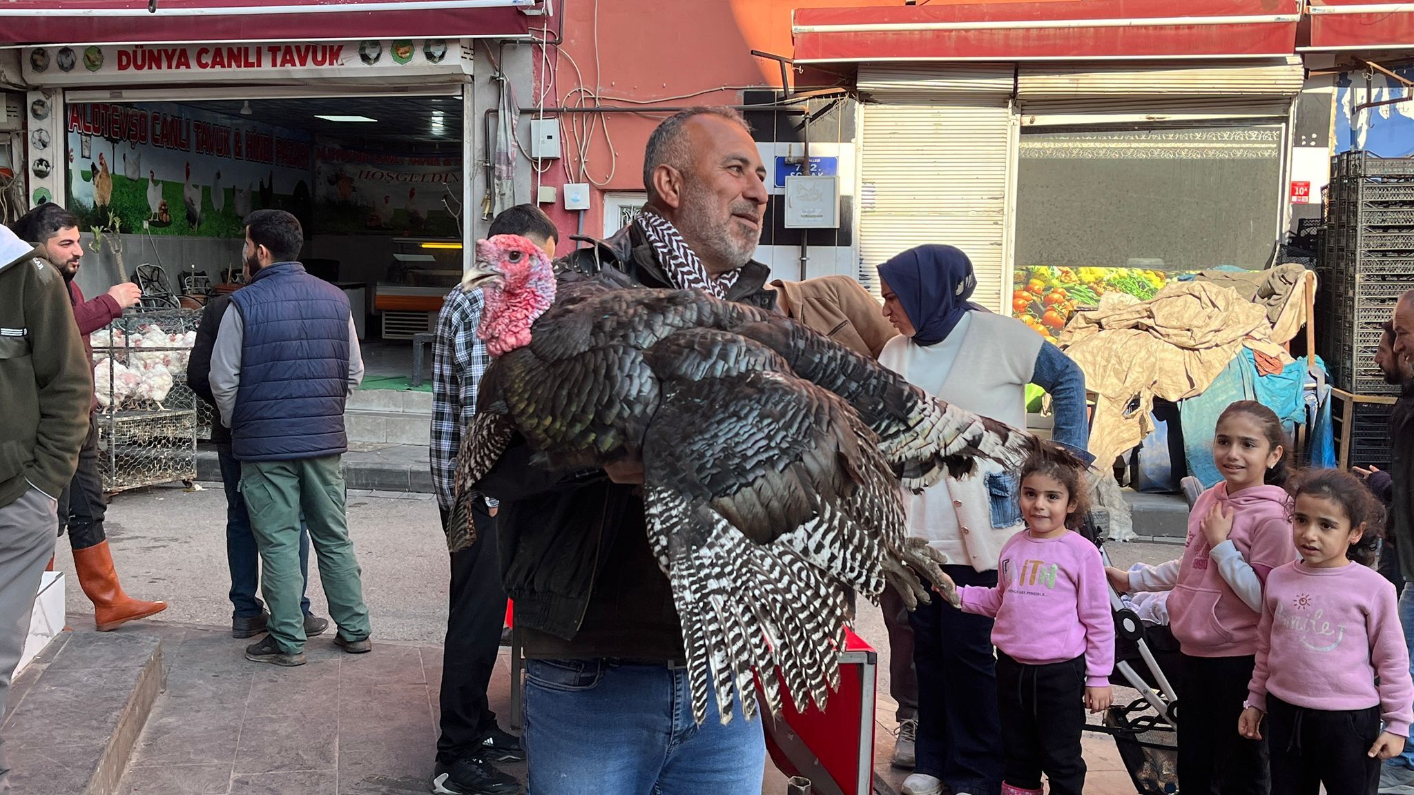 Dev Hindi Alo Tevşo Pazarı’nda Alıcısını Bekliyor (1)
