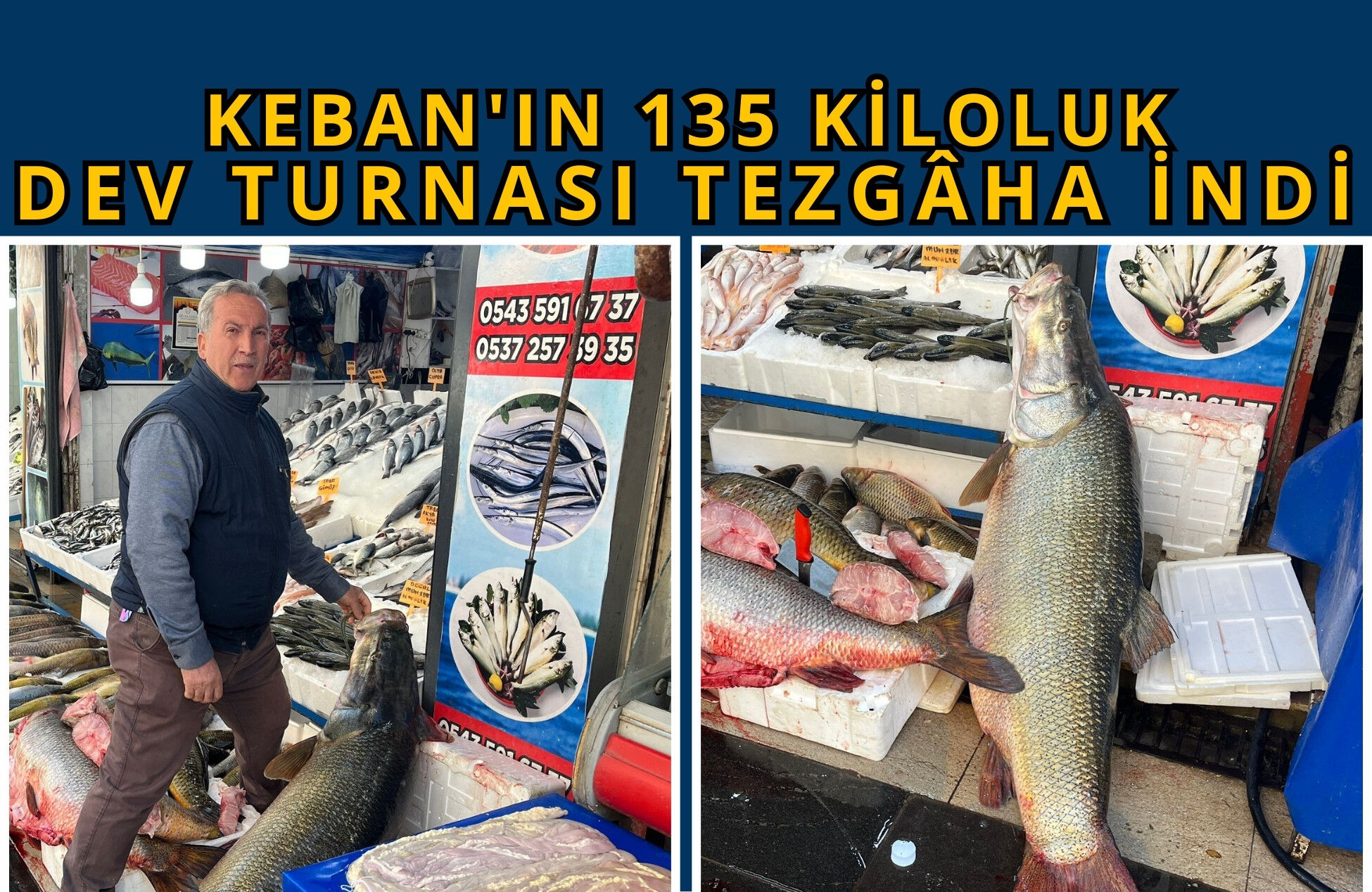 Keban'ın 135 Kiloluk Dev Turnası Tezgaha İndi 2