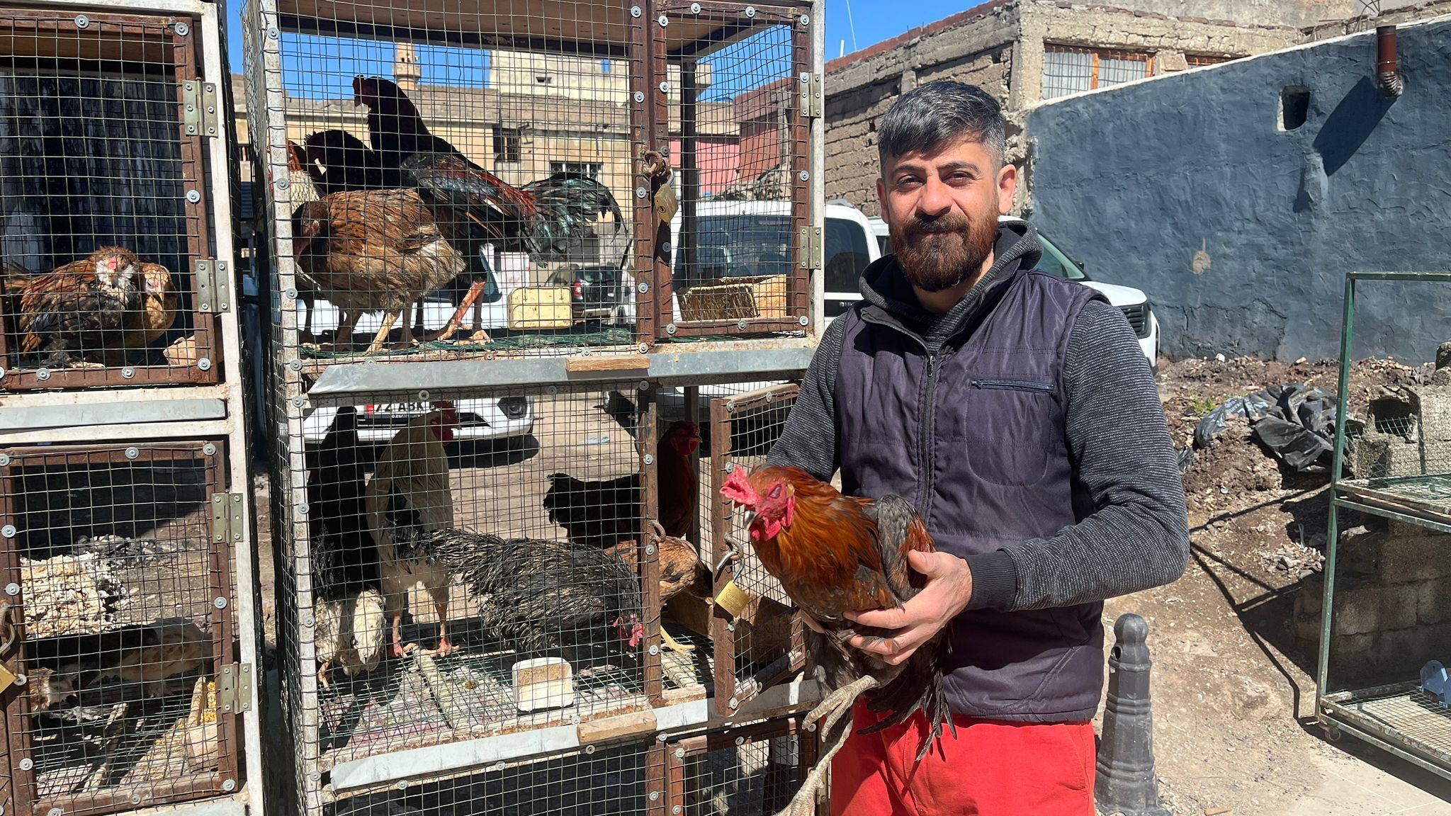 Köy Tavuğu Kırmızı Etle Yarışıyor (2)