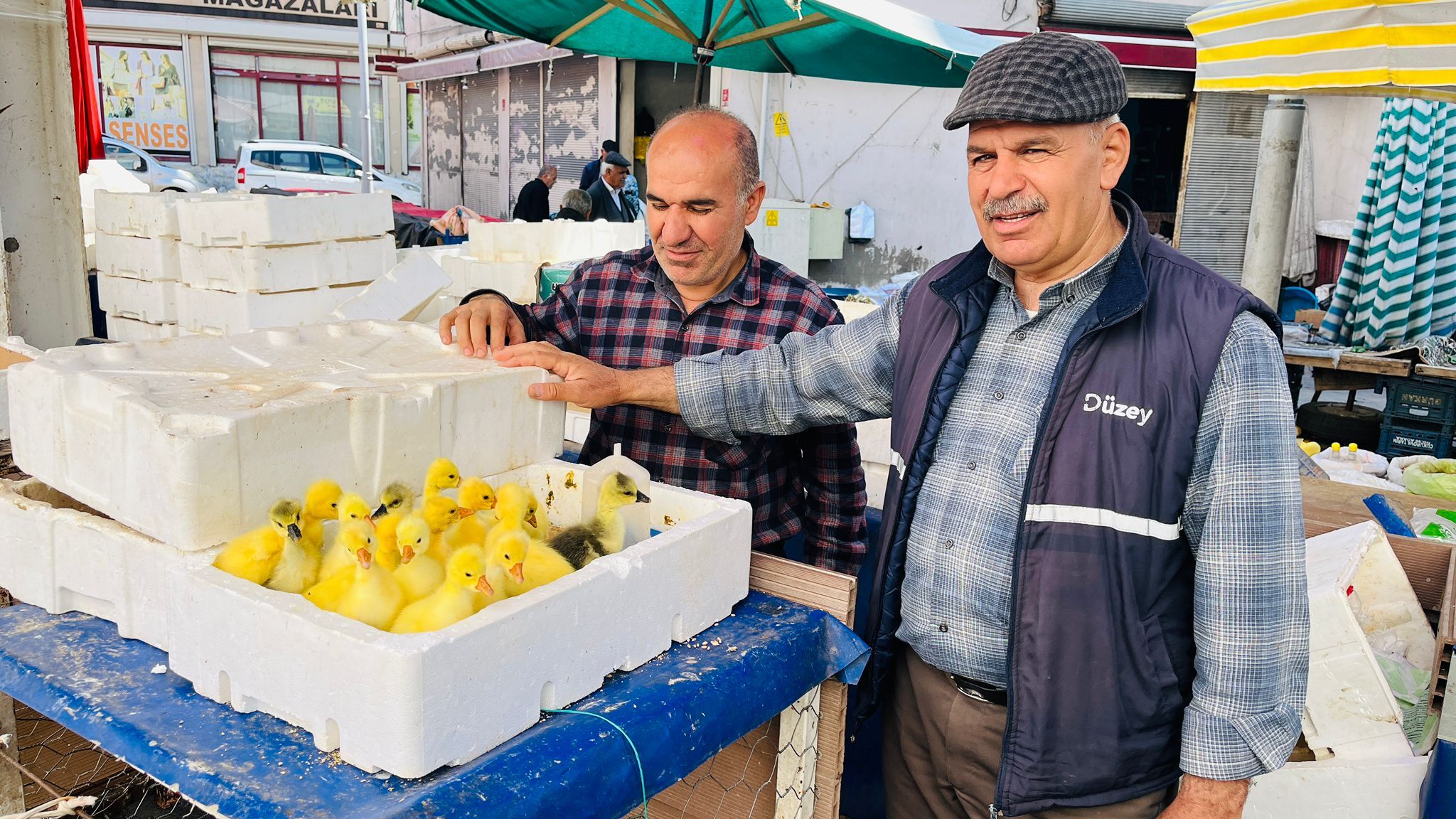 Alo Tevşo Pazarı’nda Canlı Hayvan Hareketliliği Kaz Civcivlerine Yoğun İlgi (1)