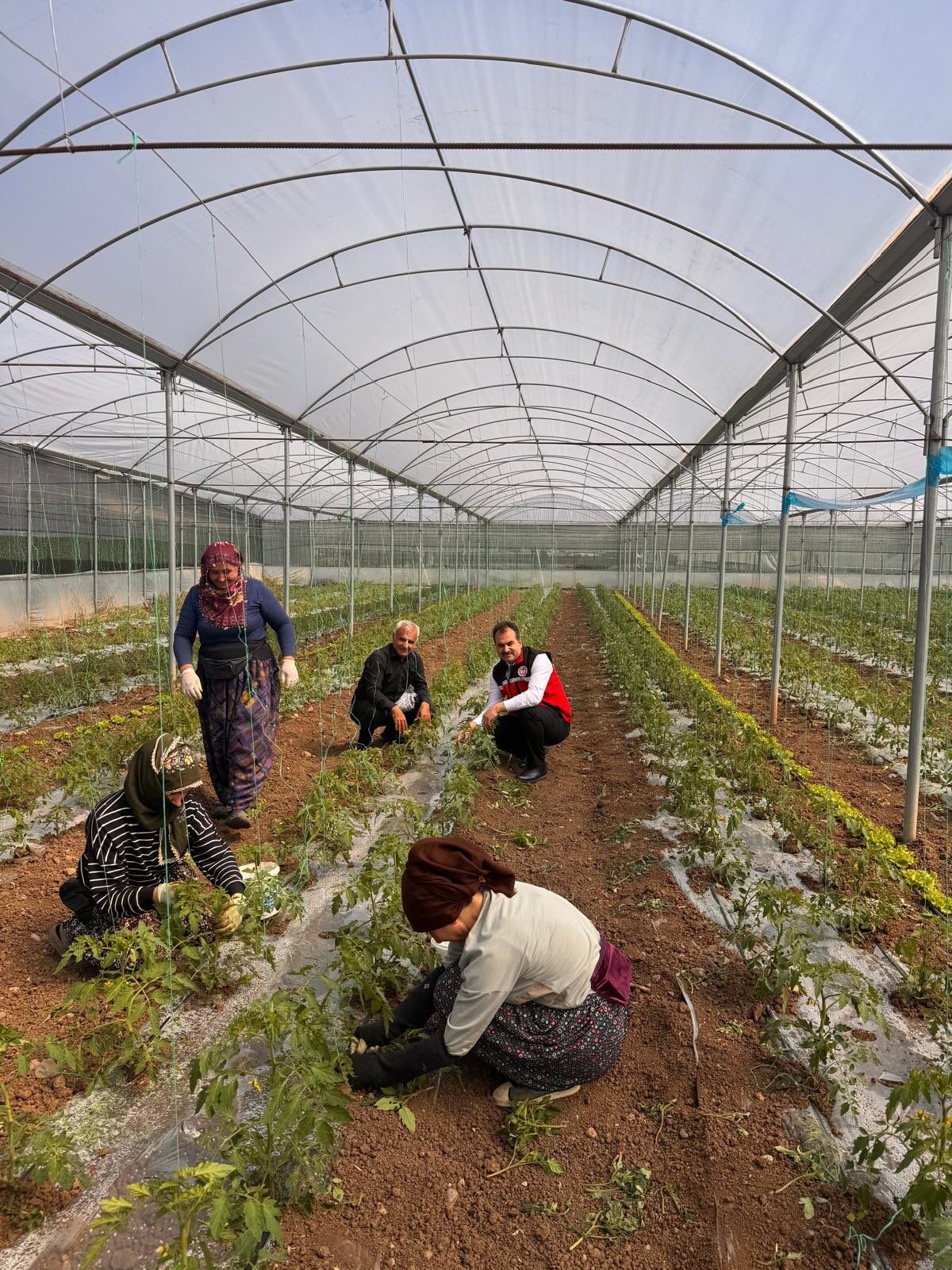 Balpınar’da Sera Mesaisi İl Müdürü Tuncer Üreticileri Ziyaret Etti (1)