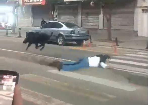 Batman Şehir Merkezinde Domuz Paniği Yoldan Geçen Vatandaşı Yaraladı! (1)